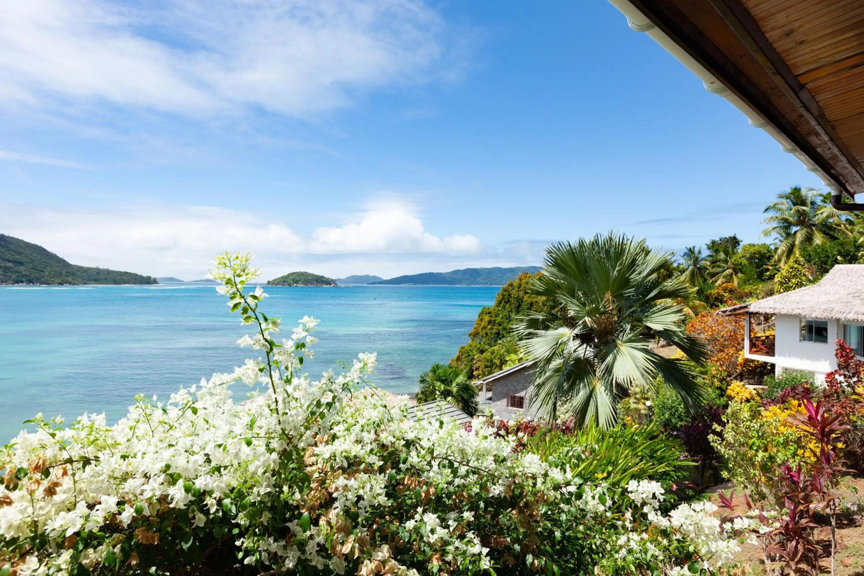 Balcony/Terrace in Colibri Hotel