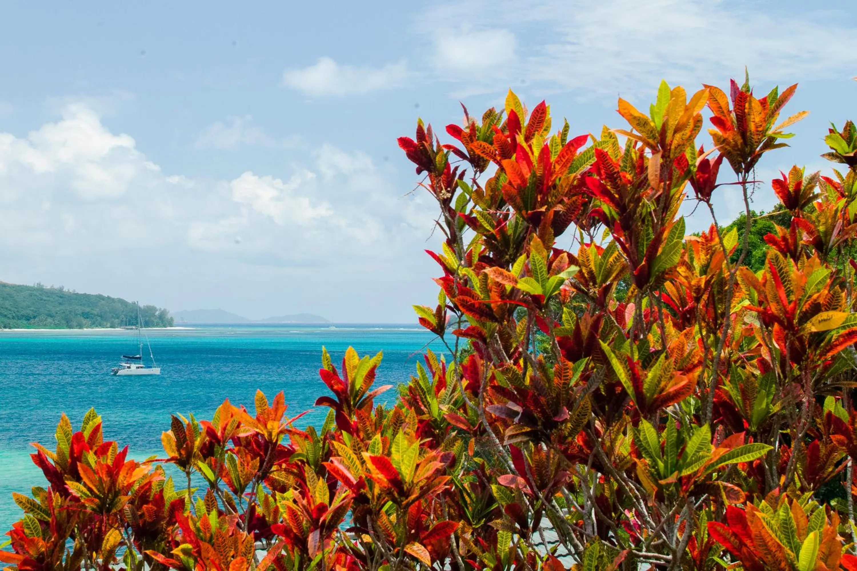 Sea view in Colibri Hotel