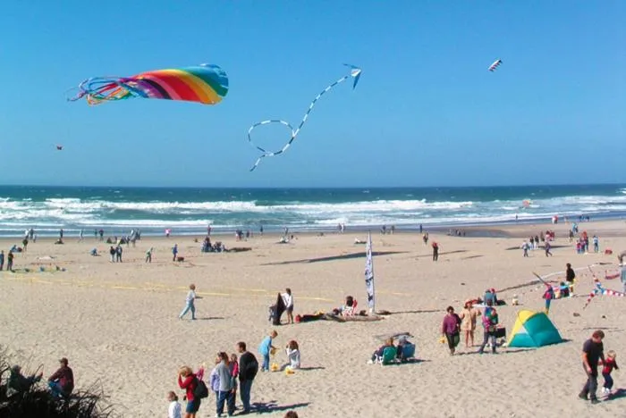 Beach in Driftwood Shores Resort