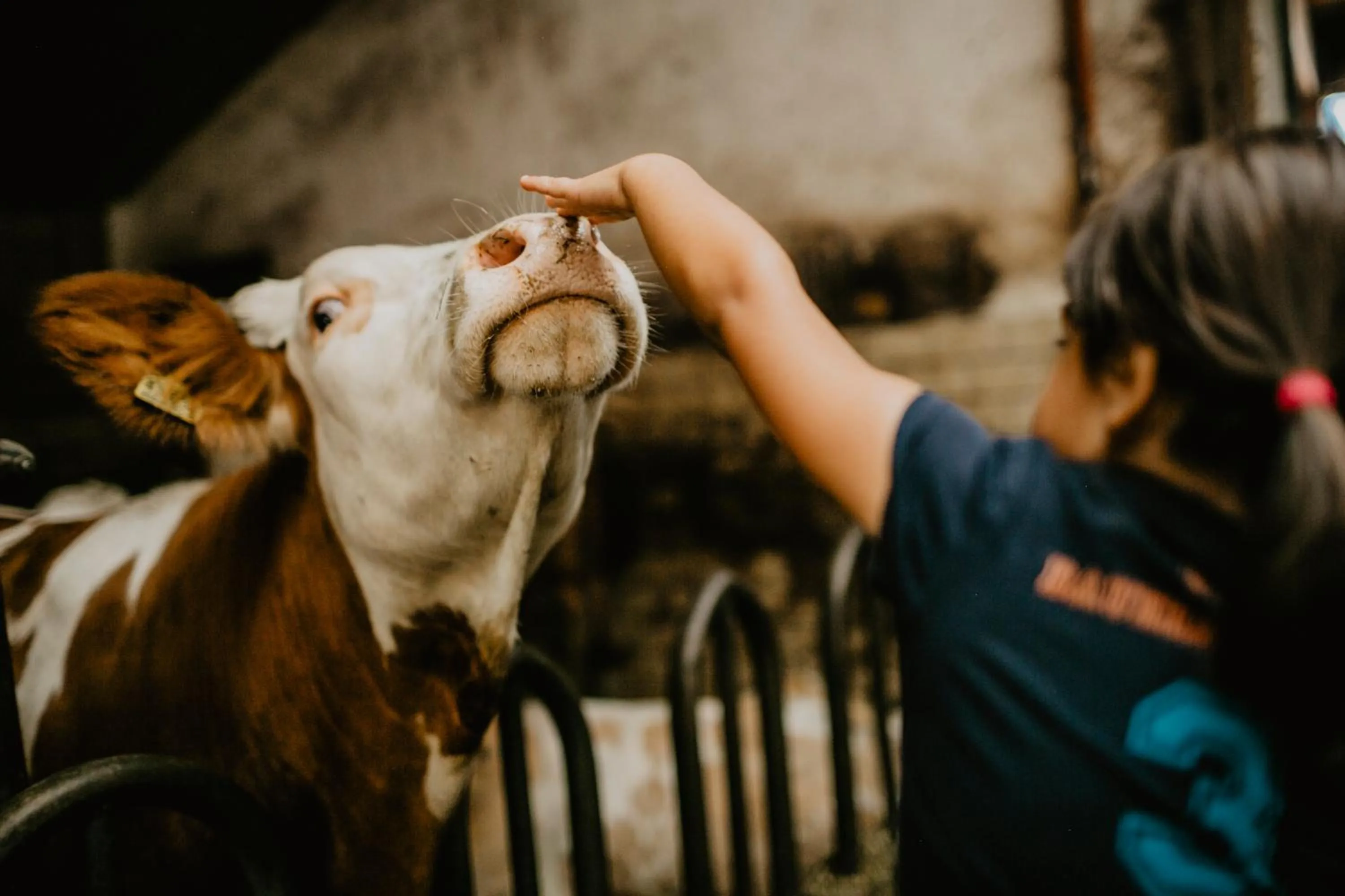 Animals in Weßner Hof Landhotel & Restaurant