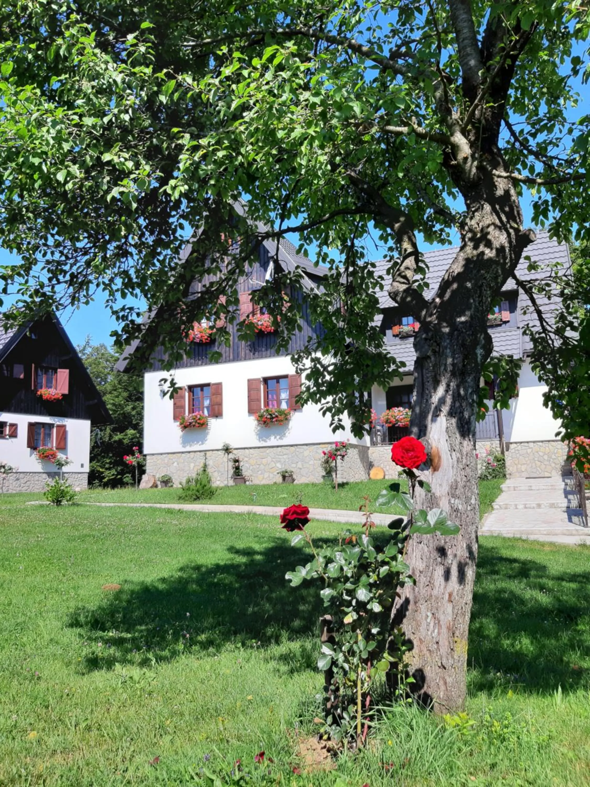 Property building in Pansion Breza