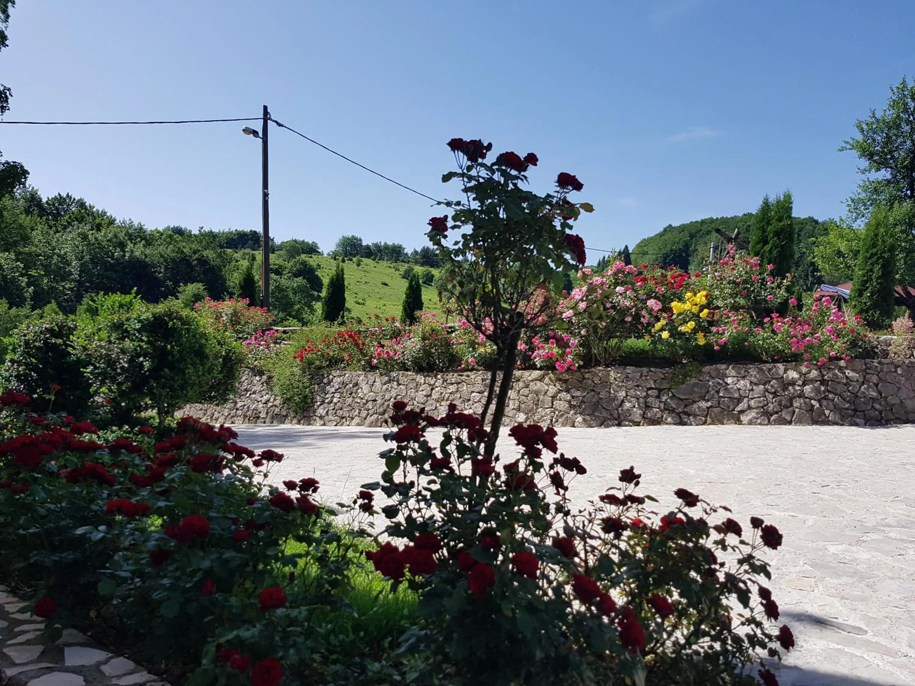 Garden in Pansion Breza