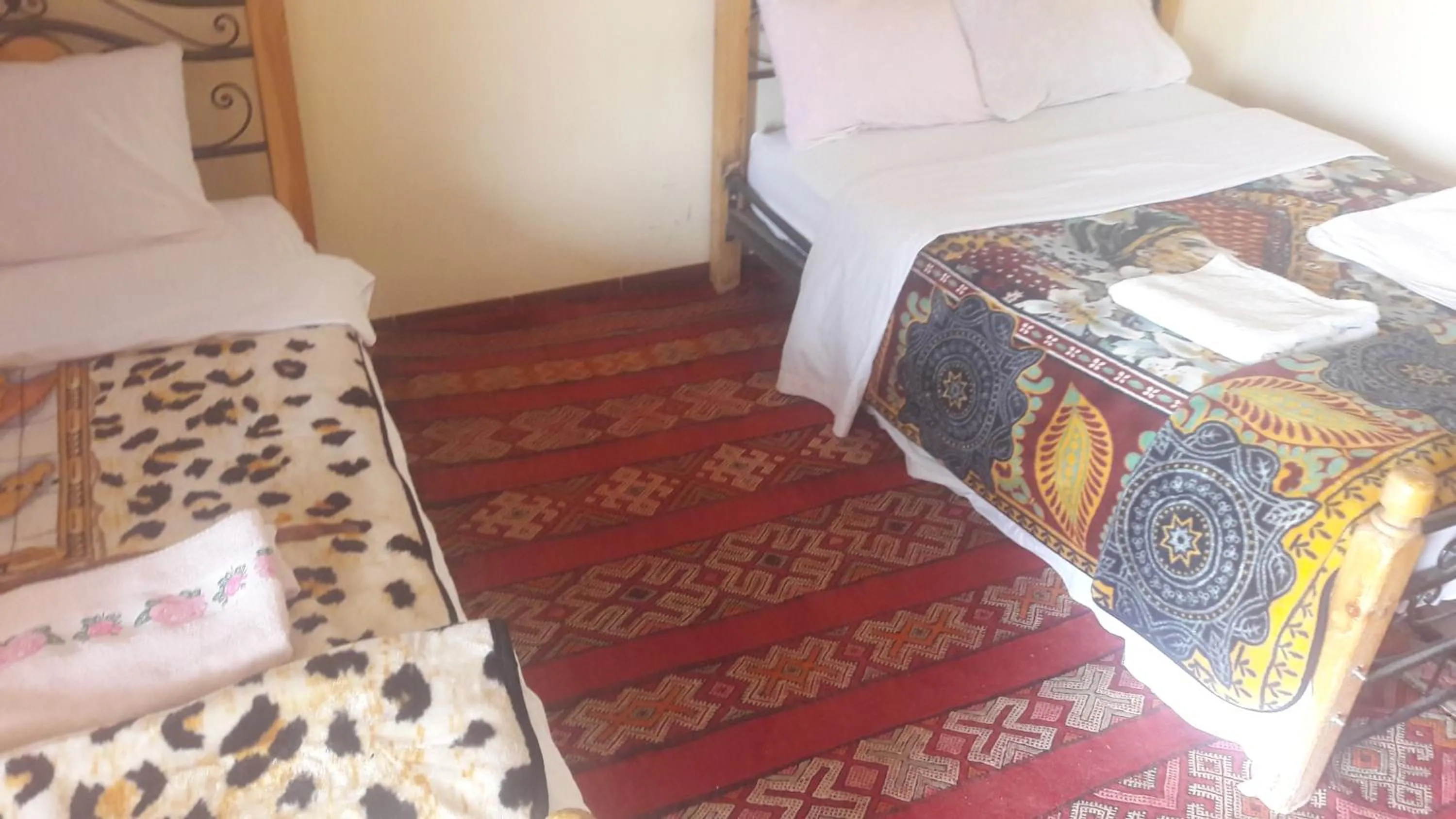 Bed in Auberge Camping BOUGAFER Tamtetoucht