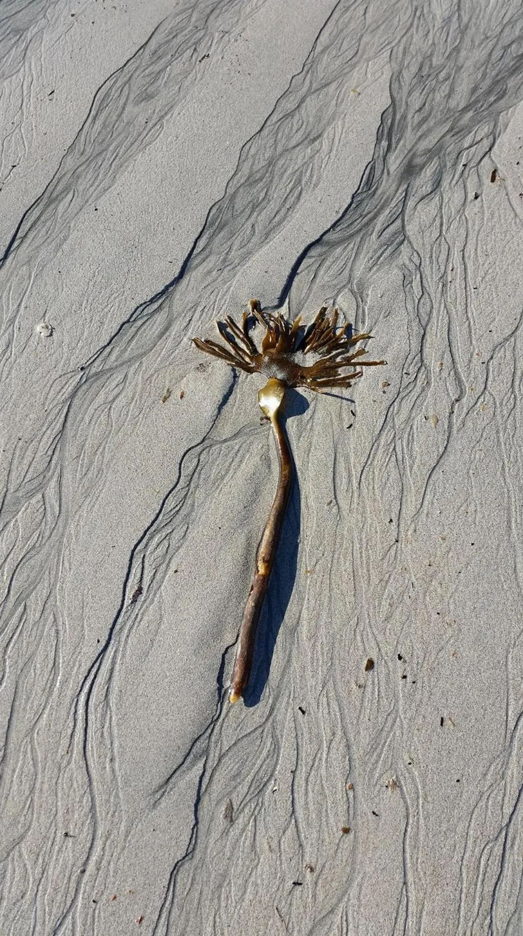 Nearby landmark in Holt Inn