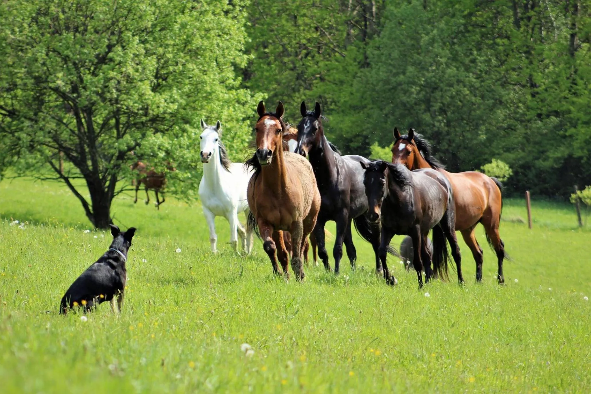 Horse-riding in Hotel Chutor Kozacki