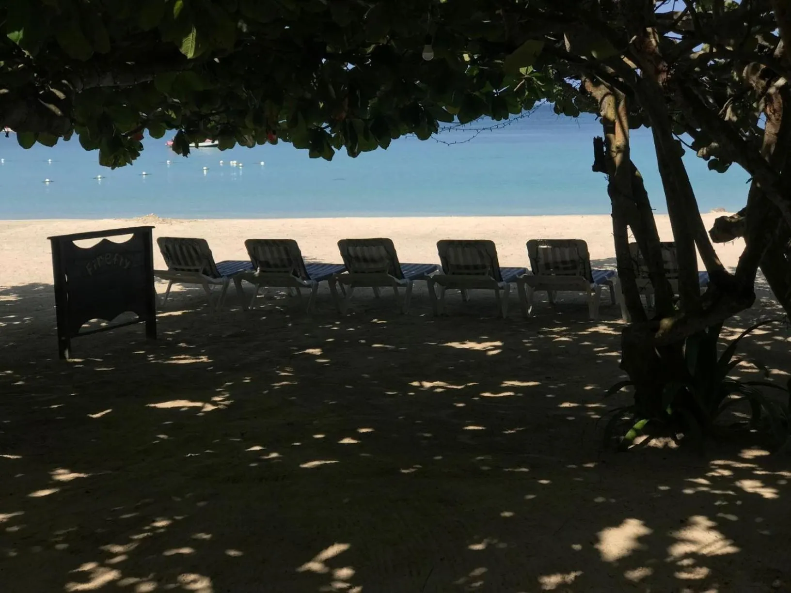 Day in Firefly Beach Cottages