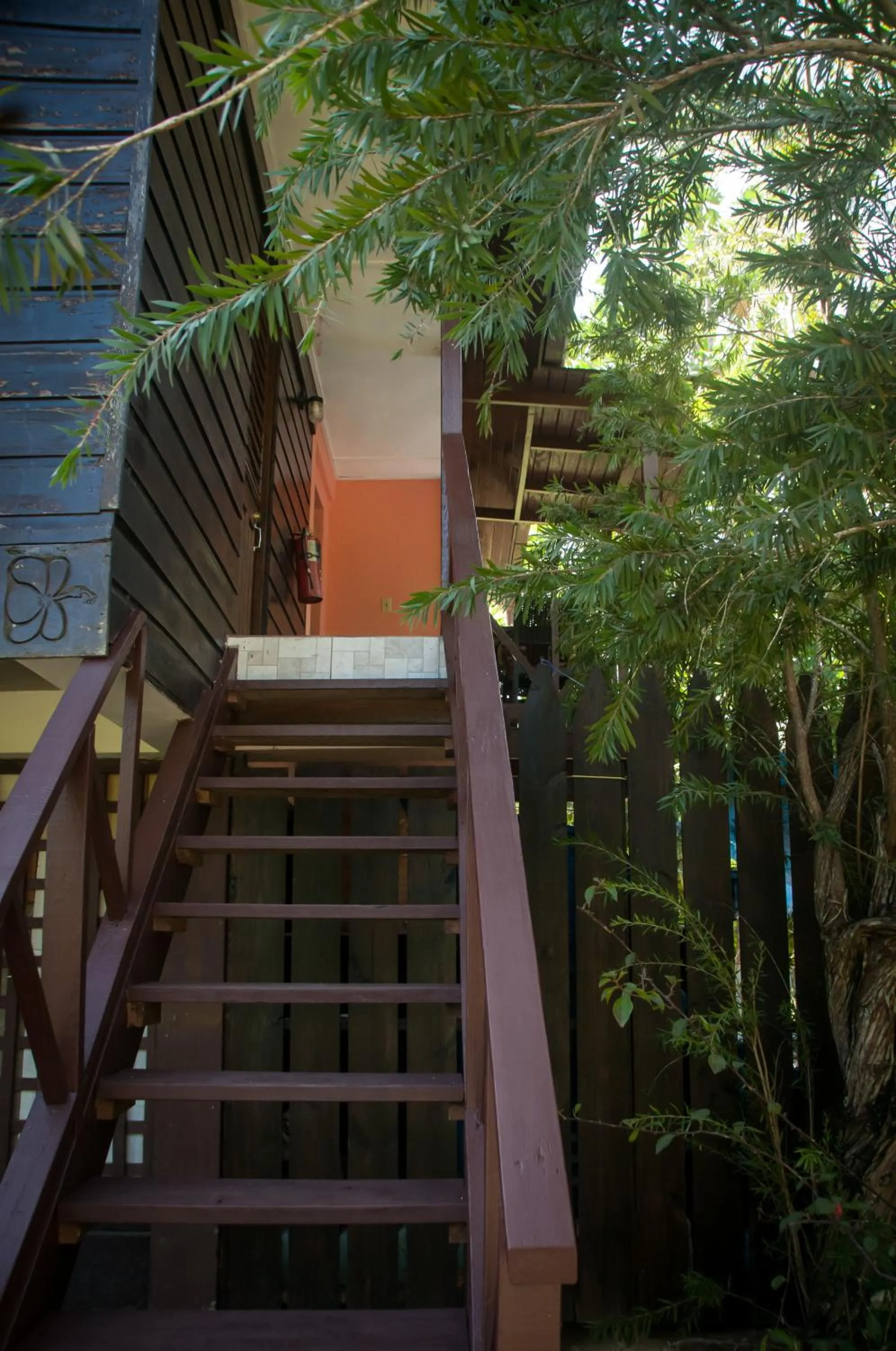 Garden in Firefly Beach Cottages