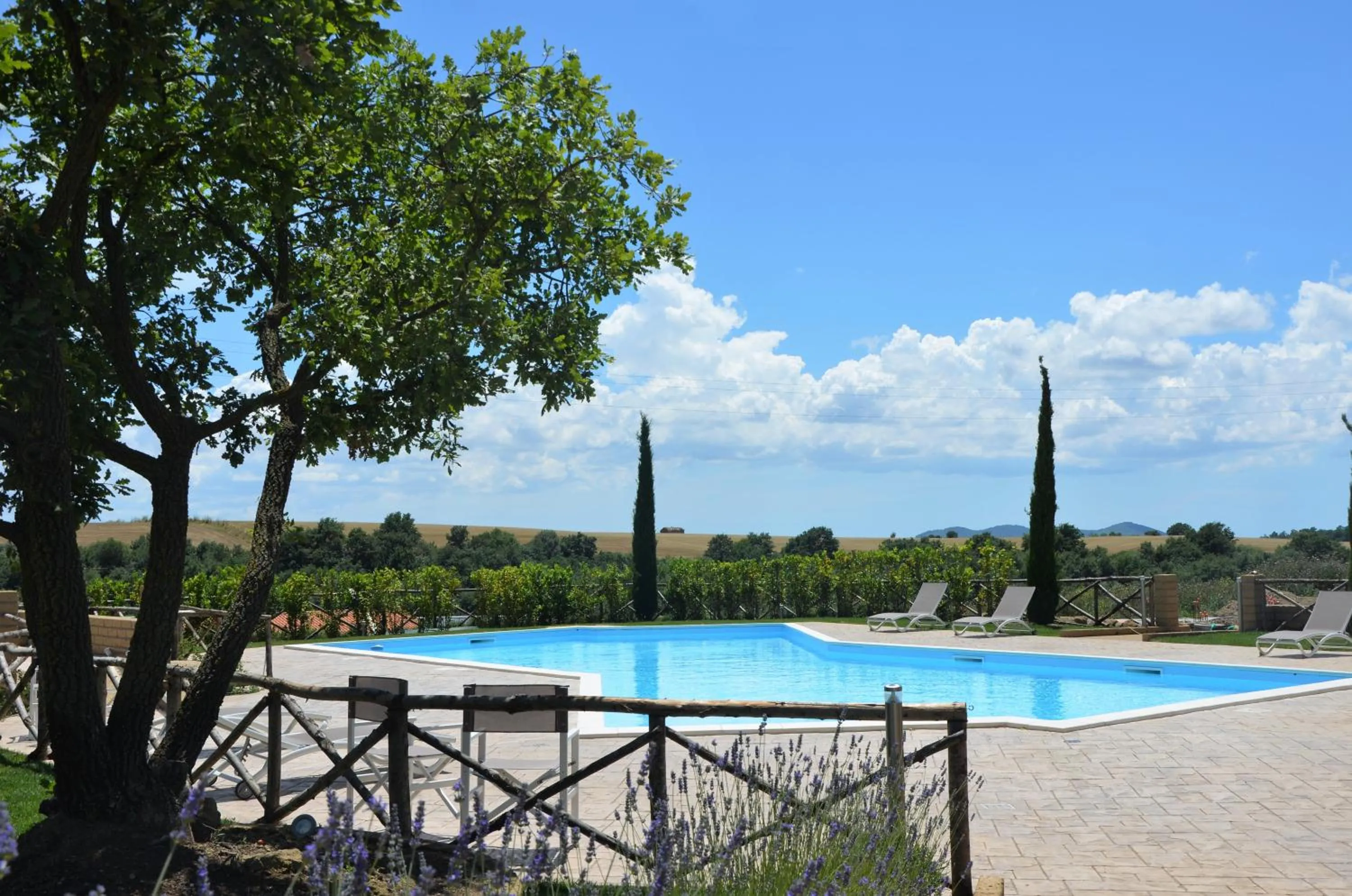 Swimming pool in Il Podere di Marfisa