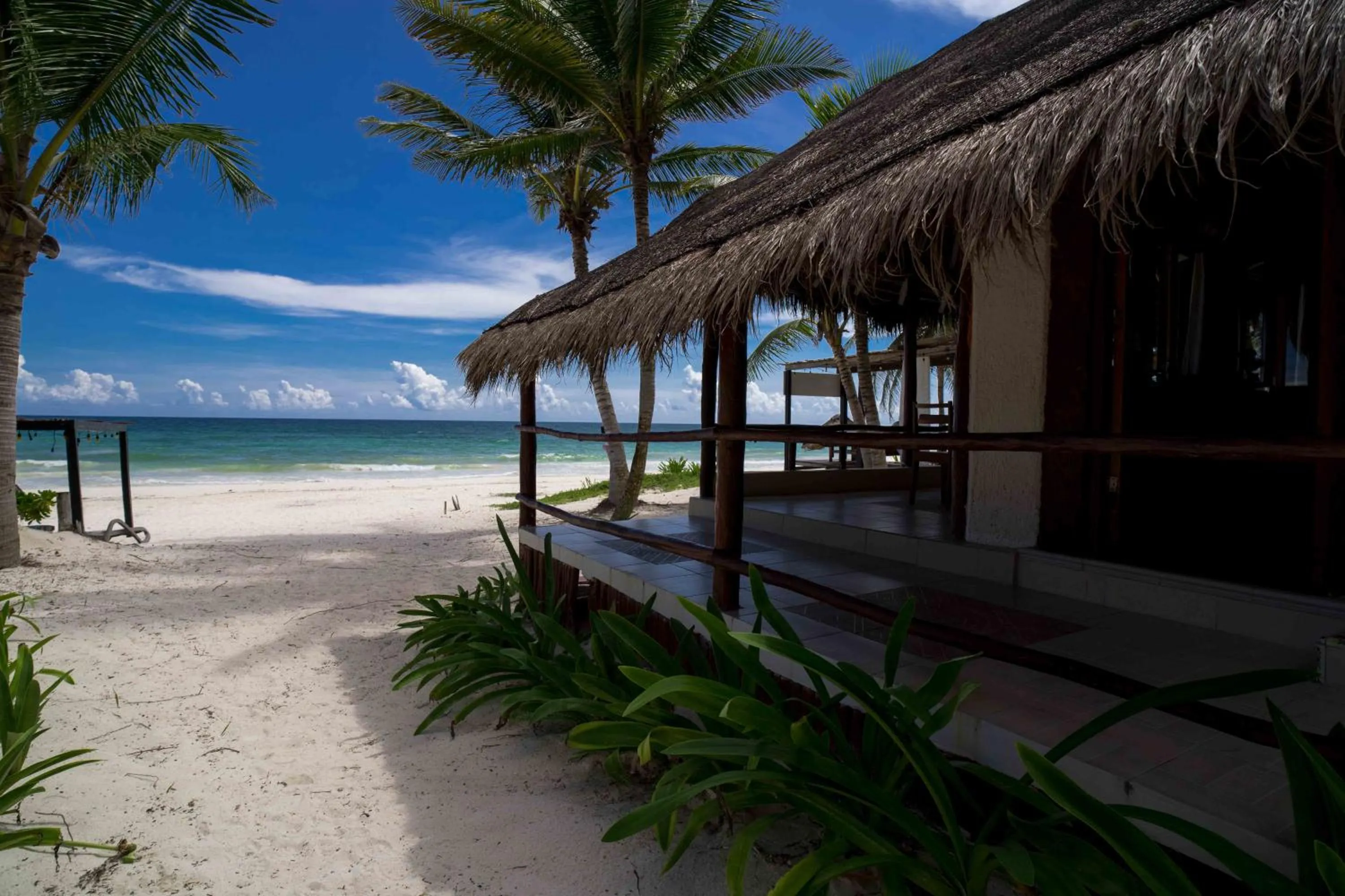 Balcony/Terrace in BT Live Tulum located at the party zone