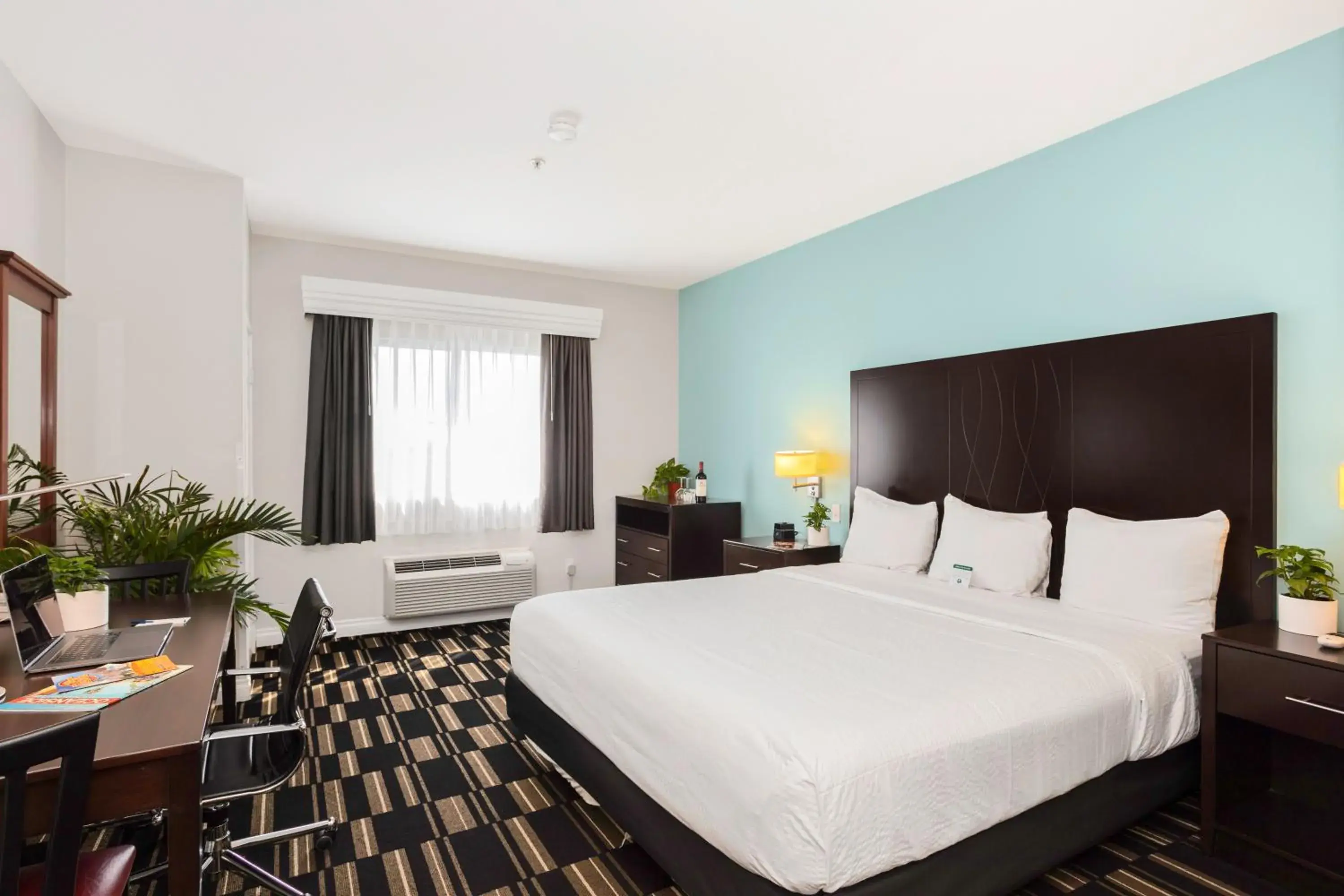 King Room - Disability Access in The Hotel Oceanside King Room - Disability Access in The Hotel Oceanside