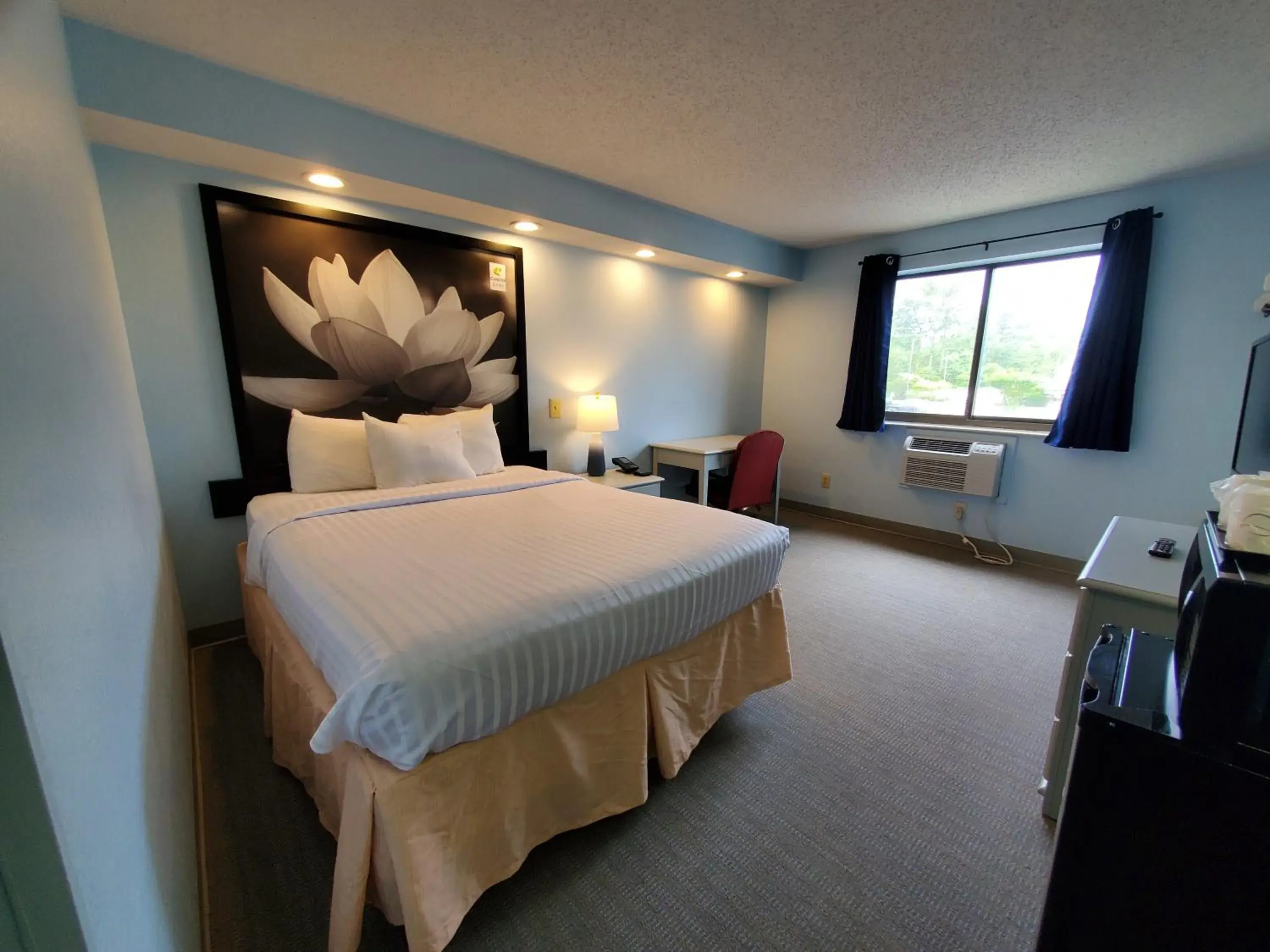 Queen Room - Non-Smoking in Coastal Inn & Suites Queen Room - Non-Smoking in Coastal Inn & Suites