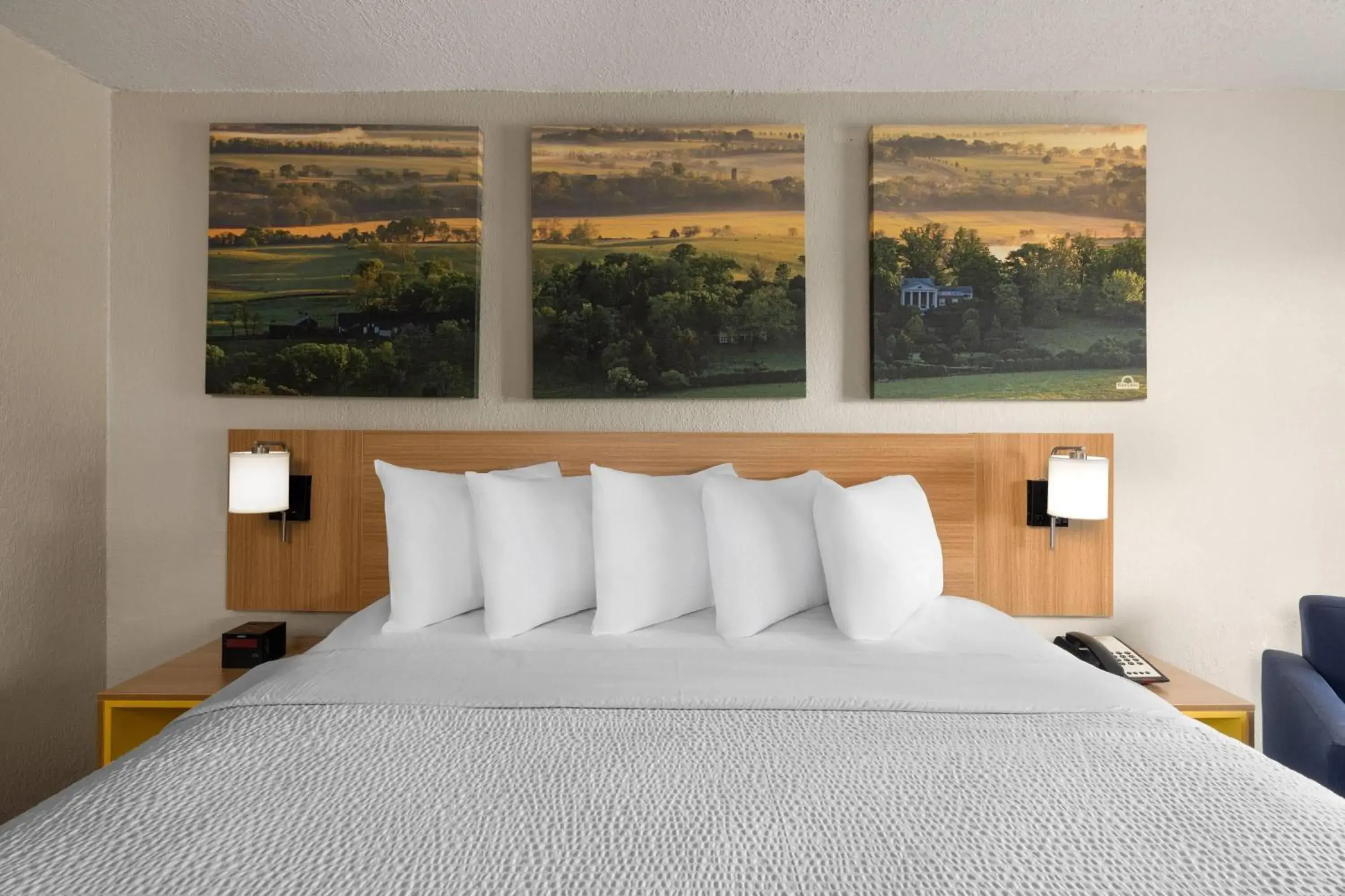 King Room - Disability Access/Smoking in Days Inn by Wyndham Augusta Wheeler Road King Room - Disability Access/Smoking in Days Inn by Wyndham Augusta Wheeler Road