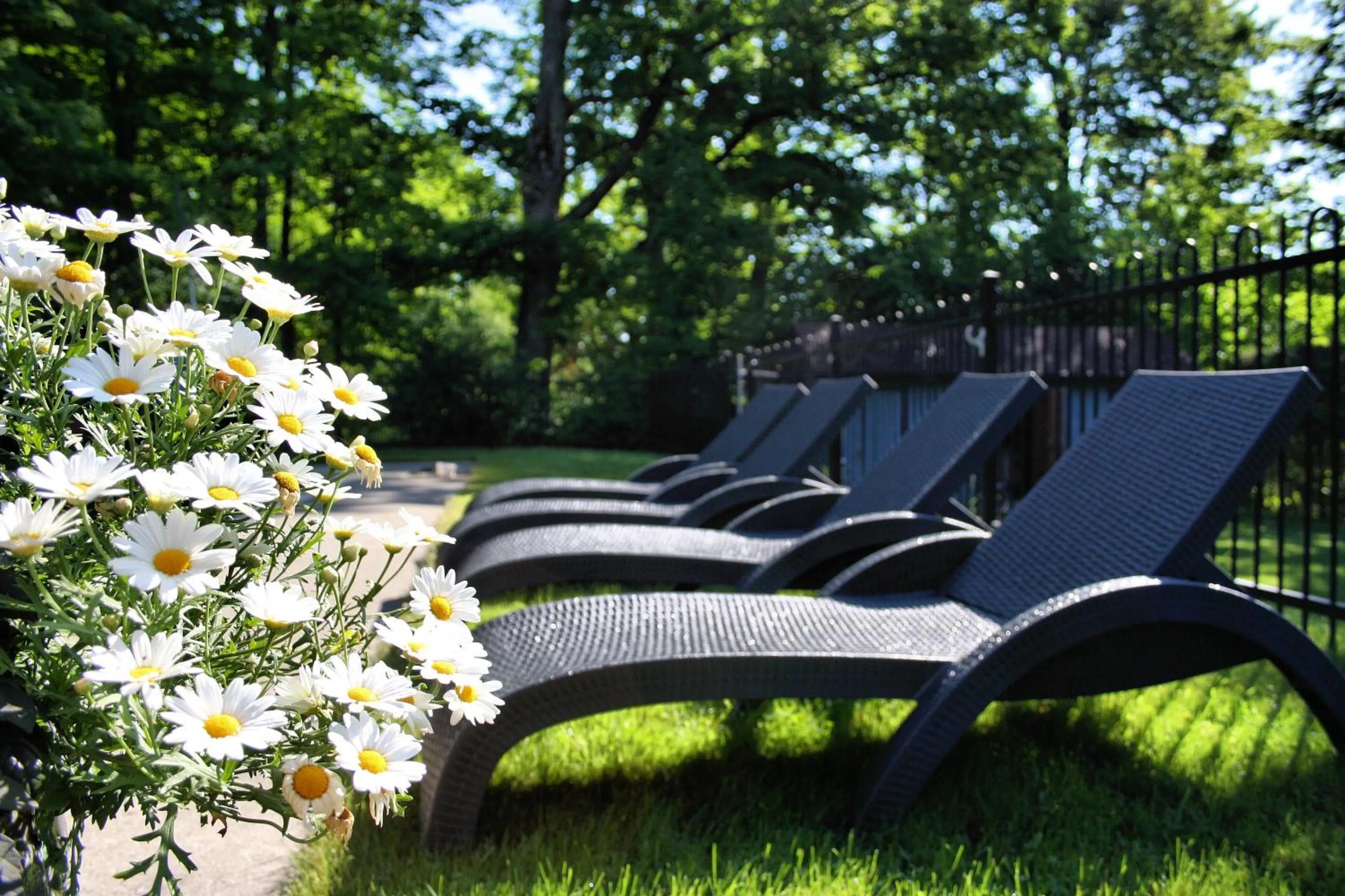 Swimming pool in Domaine Jolivent
