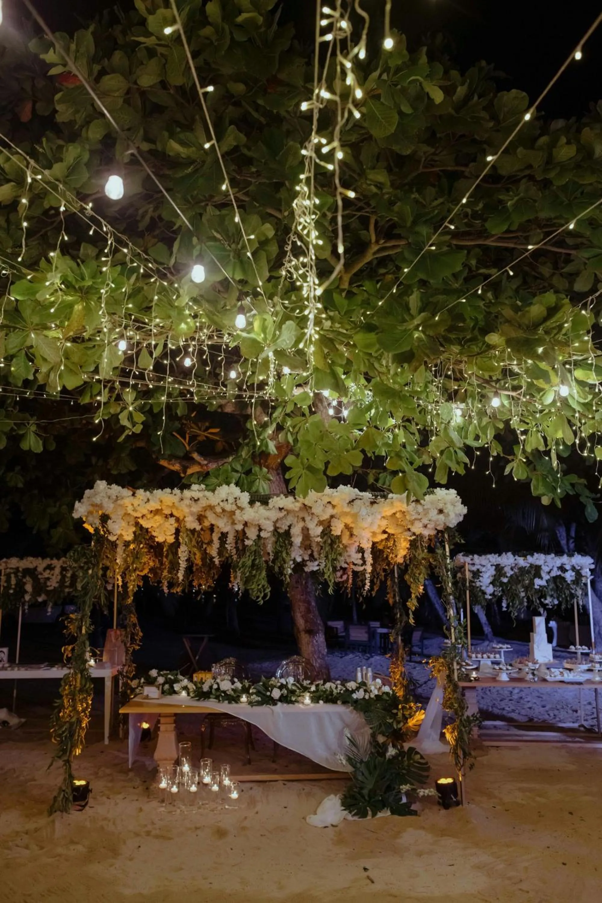 Banquet/Function facilities in Los Sueños Marriott Ocean & Golf Resort