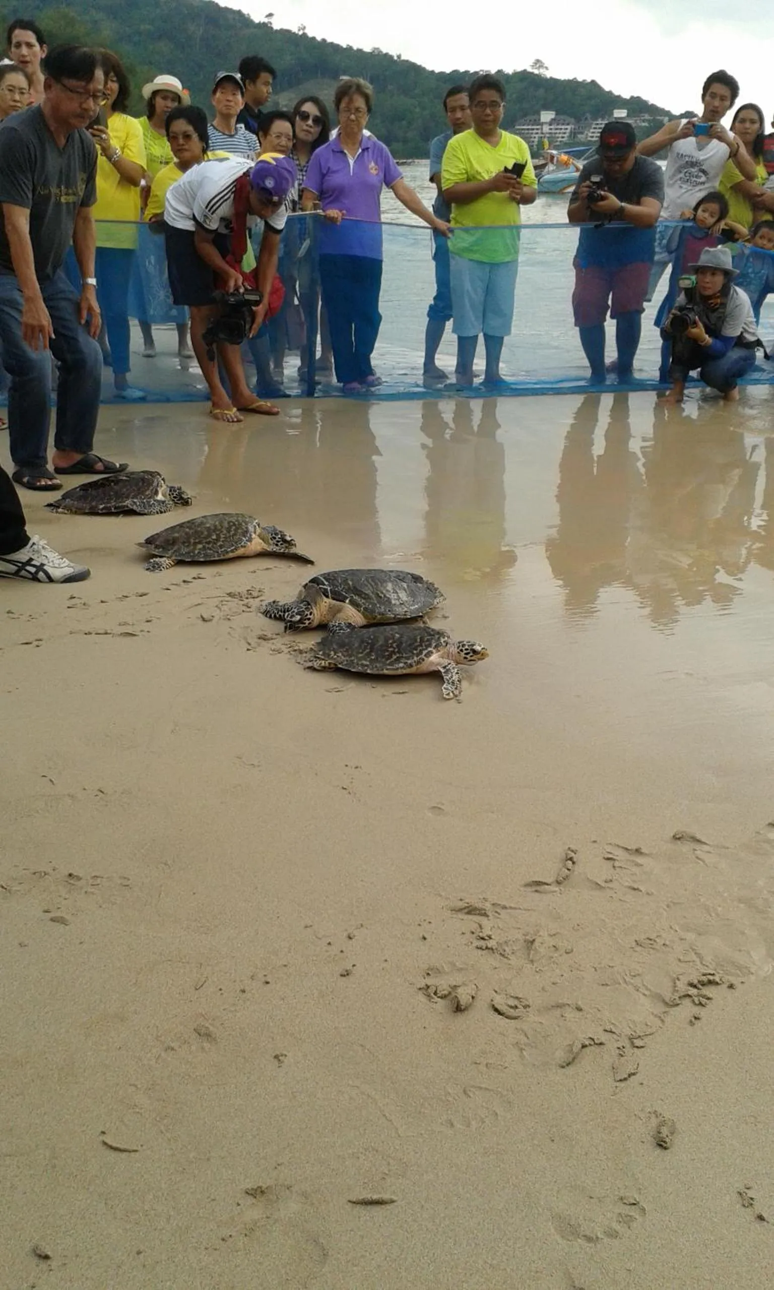 Beach in Chez Charly Bungalow