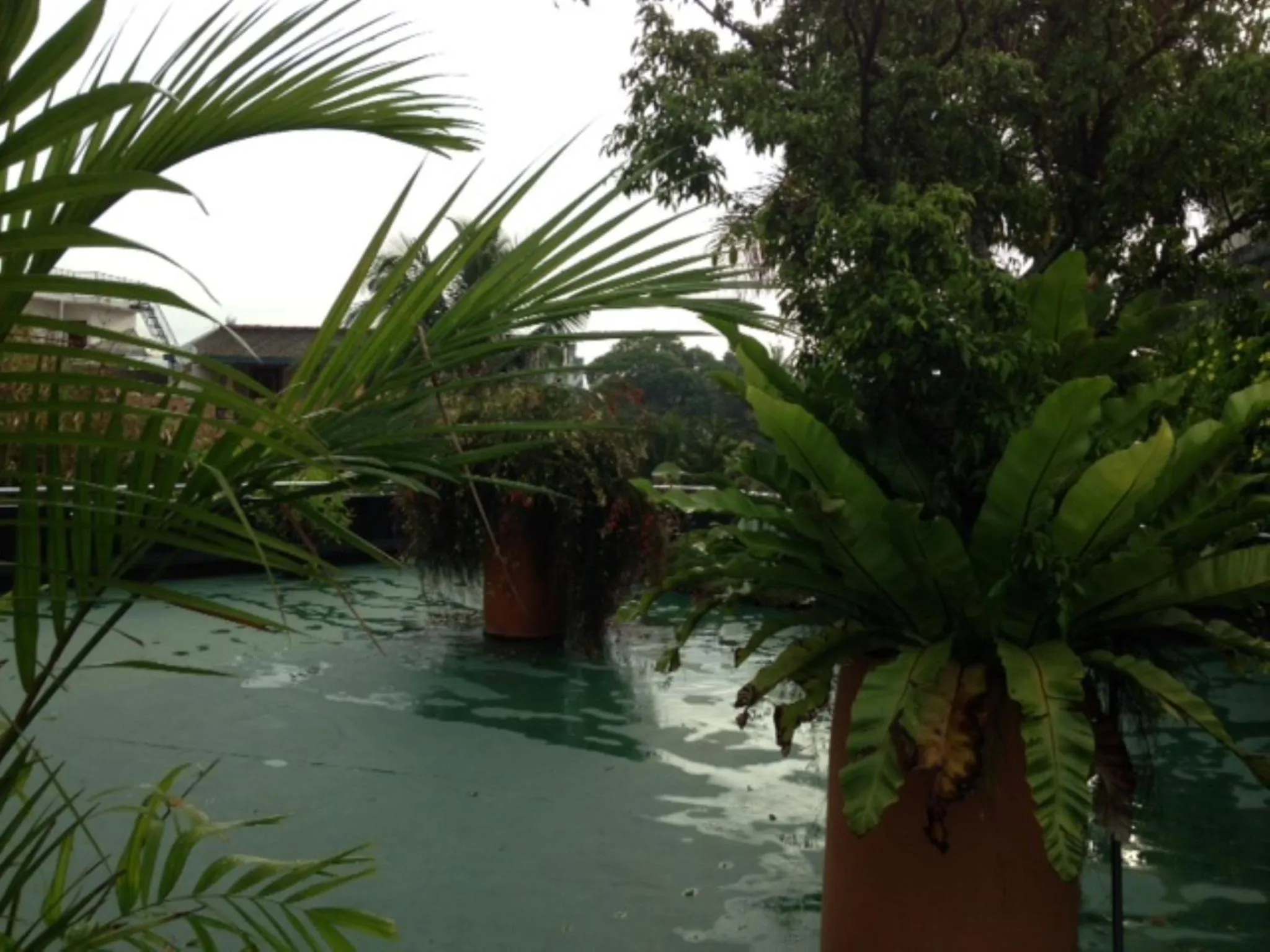 Balcony/Terrace in Silvikris Villa