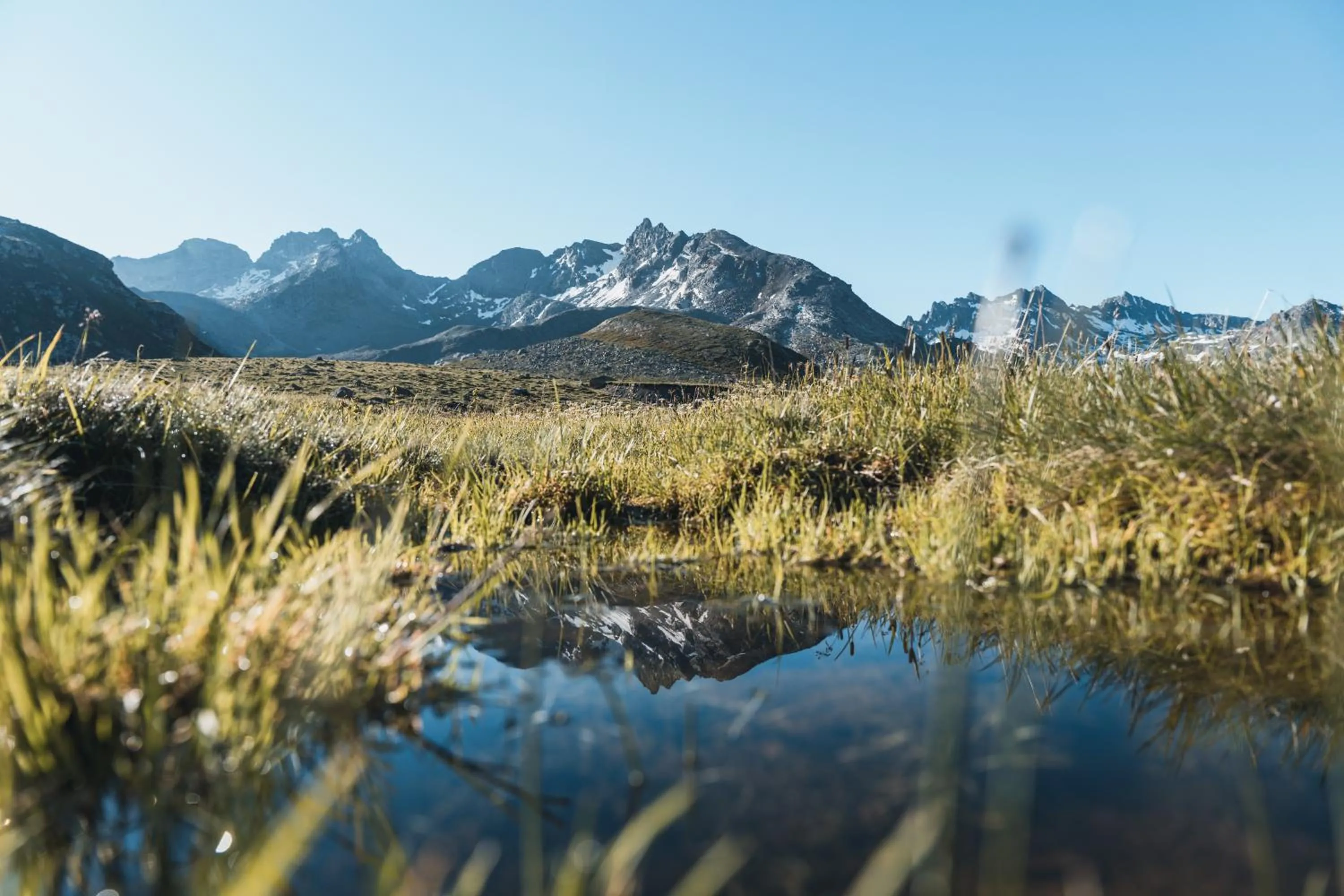 Spring in Felbermayer Hotel & AlpineSpa-Montafon