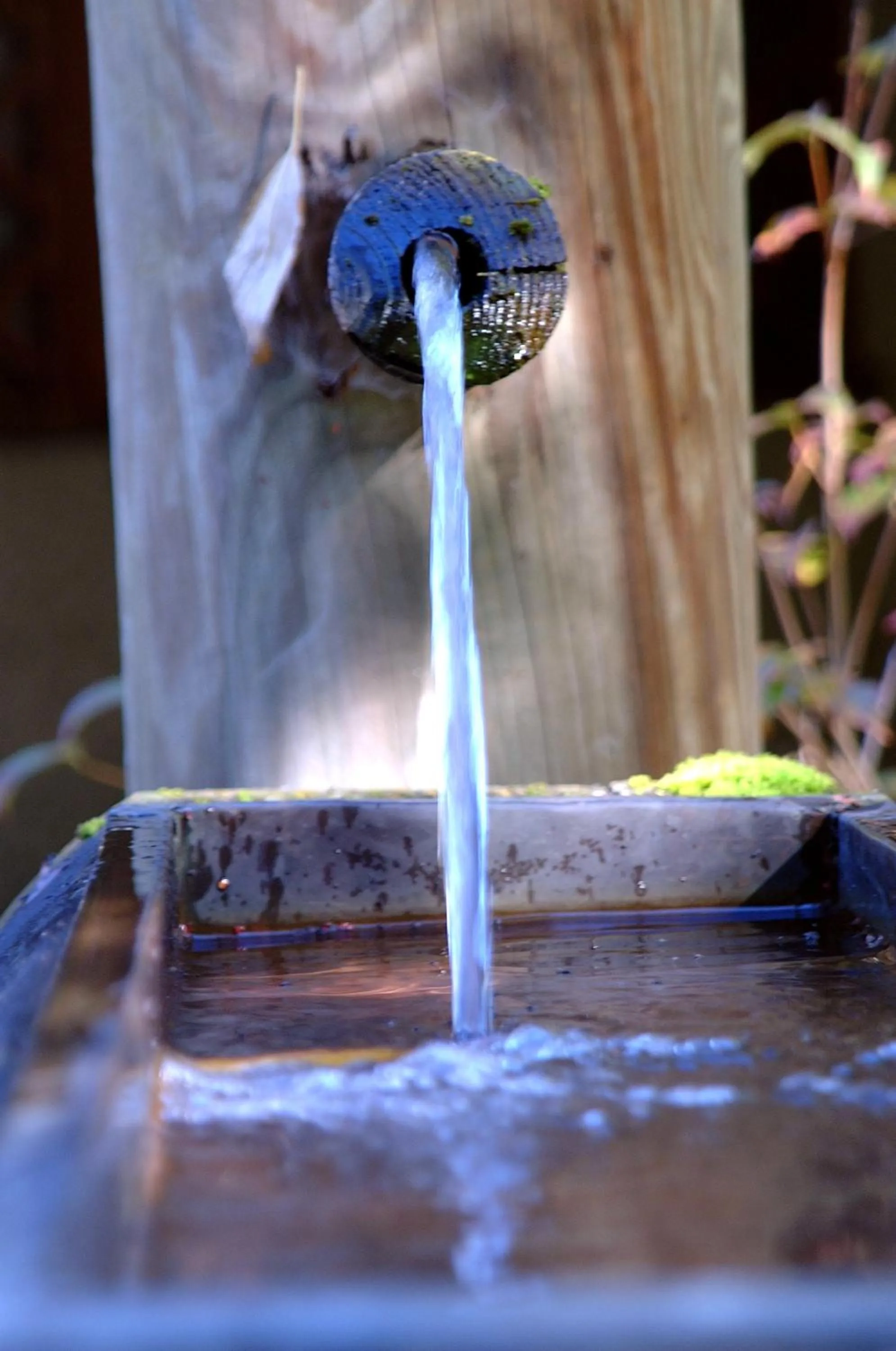 Decorative detail in Felbermayer Hotel & AlpineSpa-Montafon