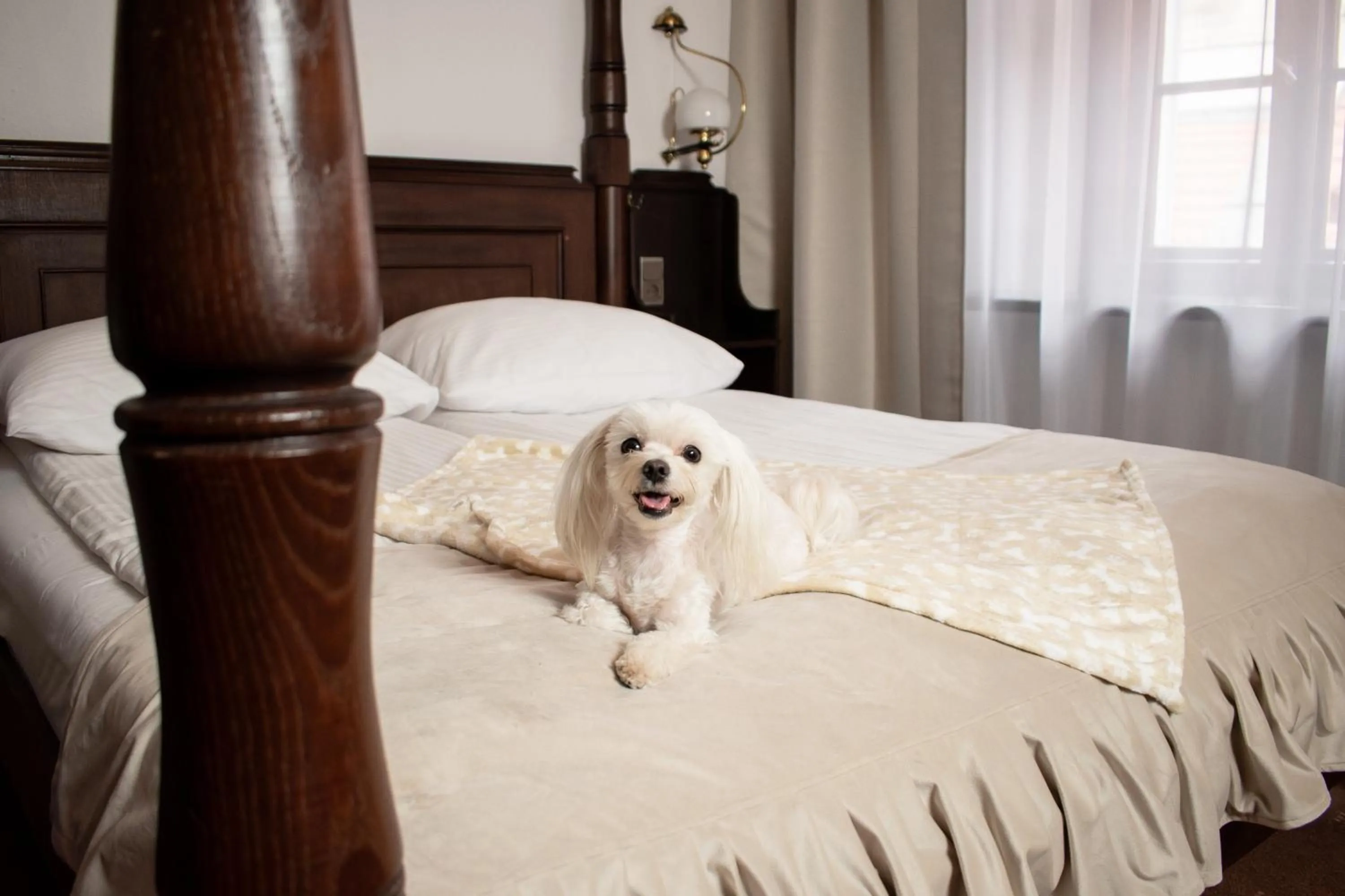 Bed in Hotel Dwór Polski