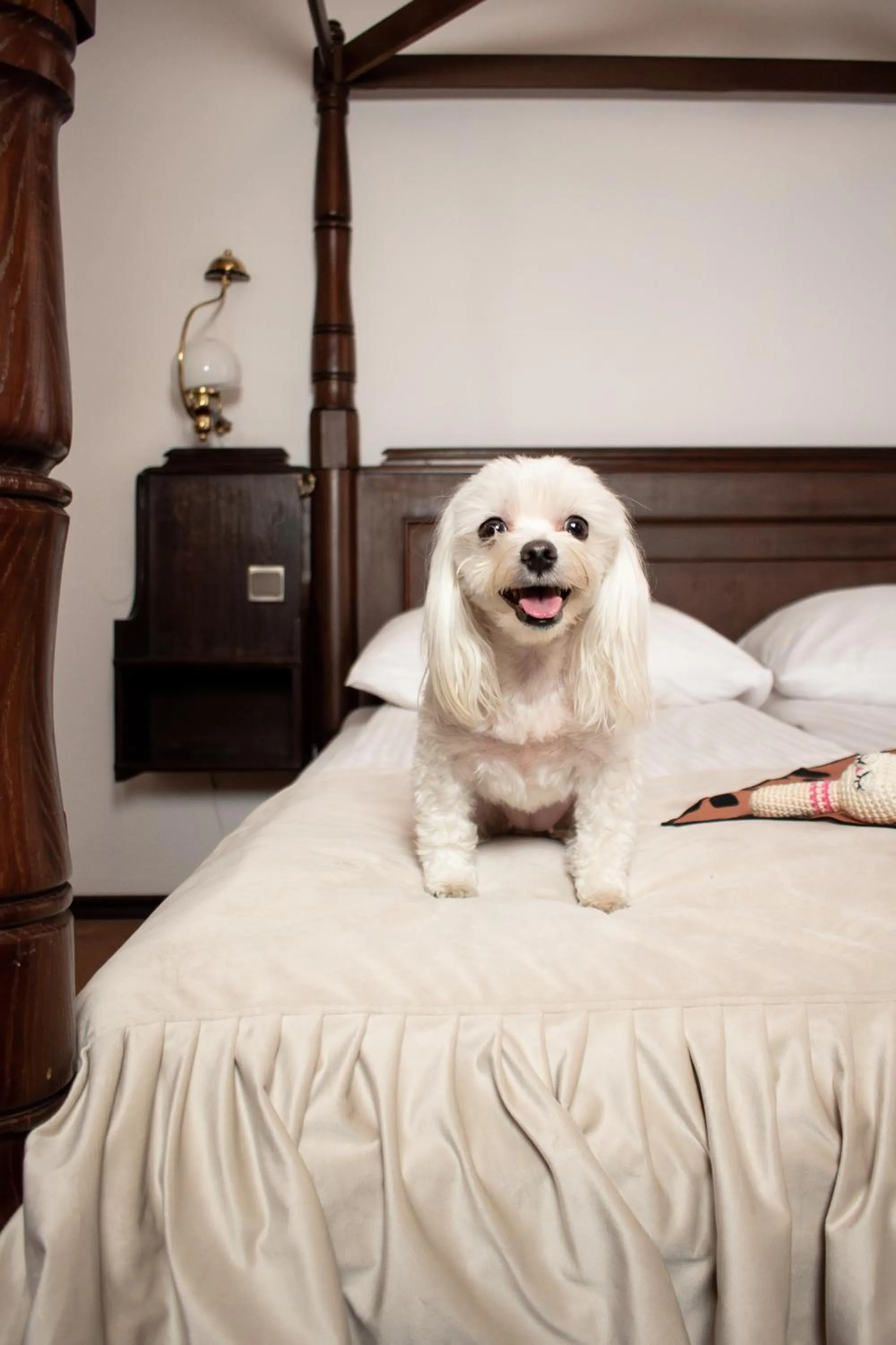 Bed in Hotel Dwór Polski