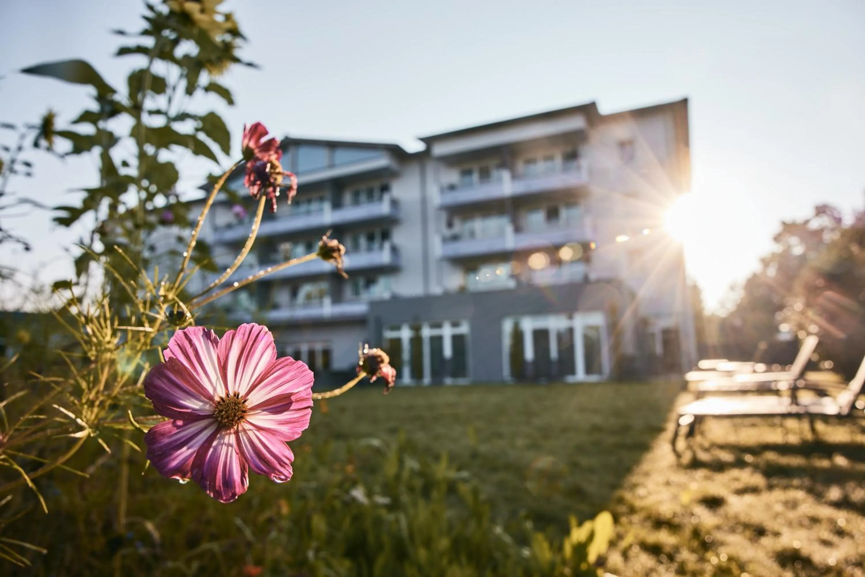 Property building in Holzapfel
