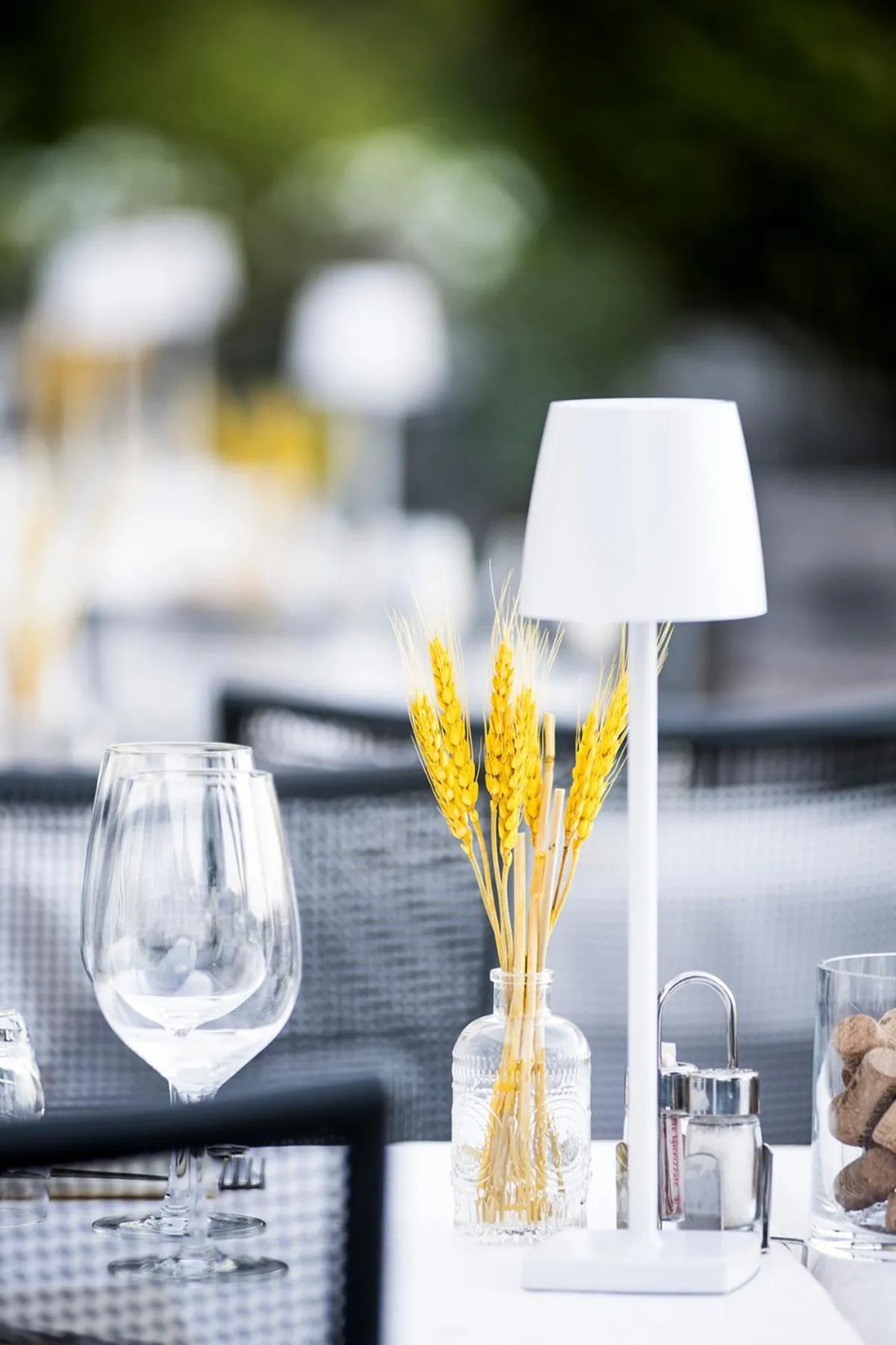 Restaurant/places to eat in Hotel La Rondinella