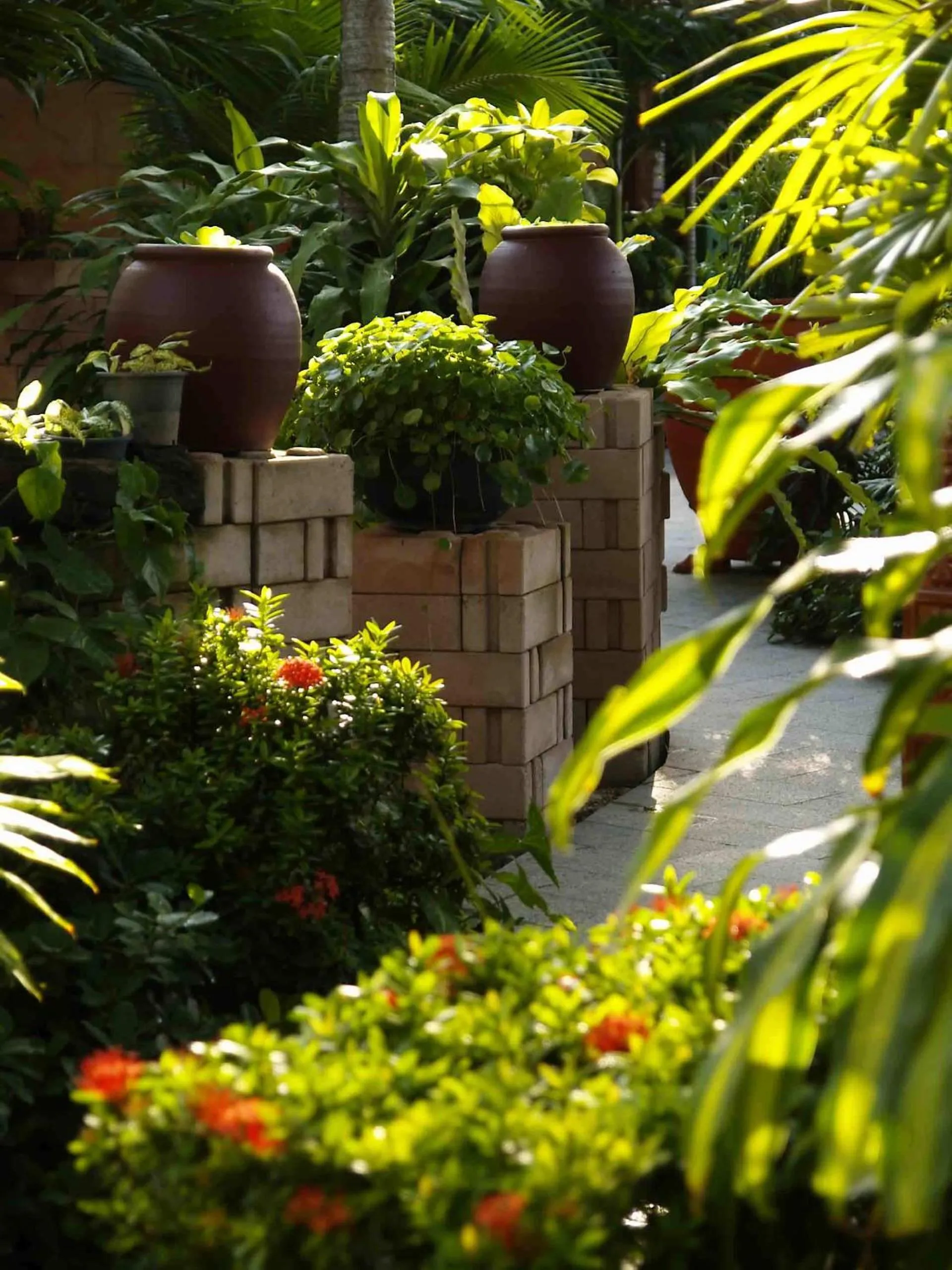 Garden in Safari Beach Hotel Patong