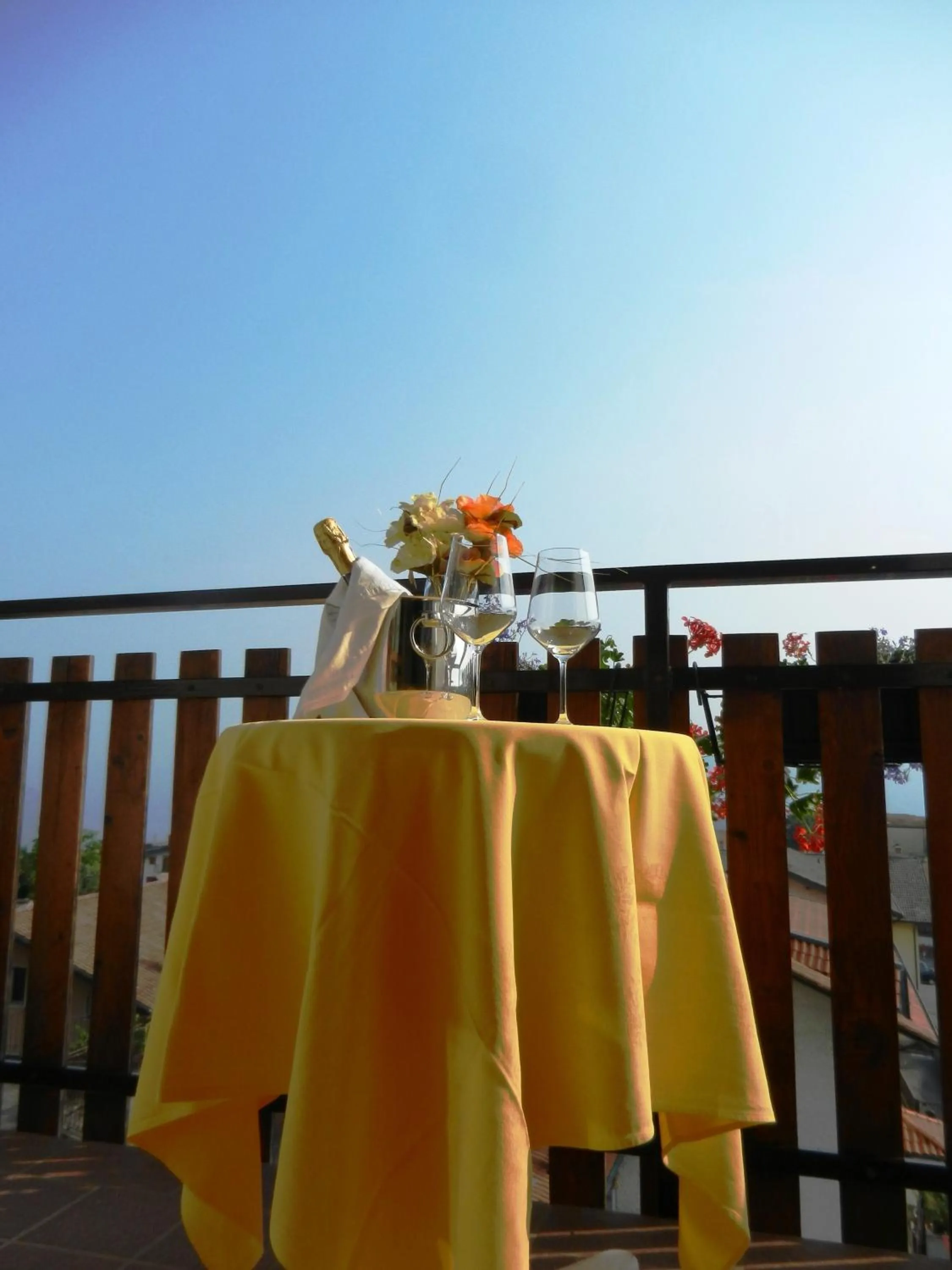 Garden in Albergo Milano