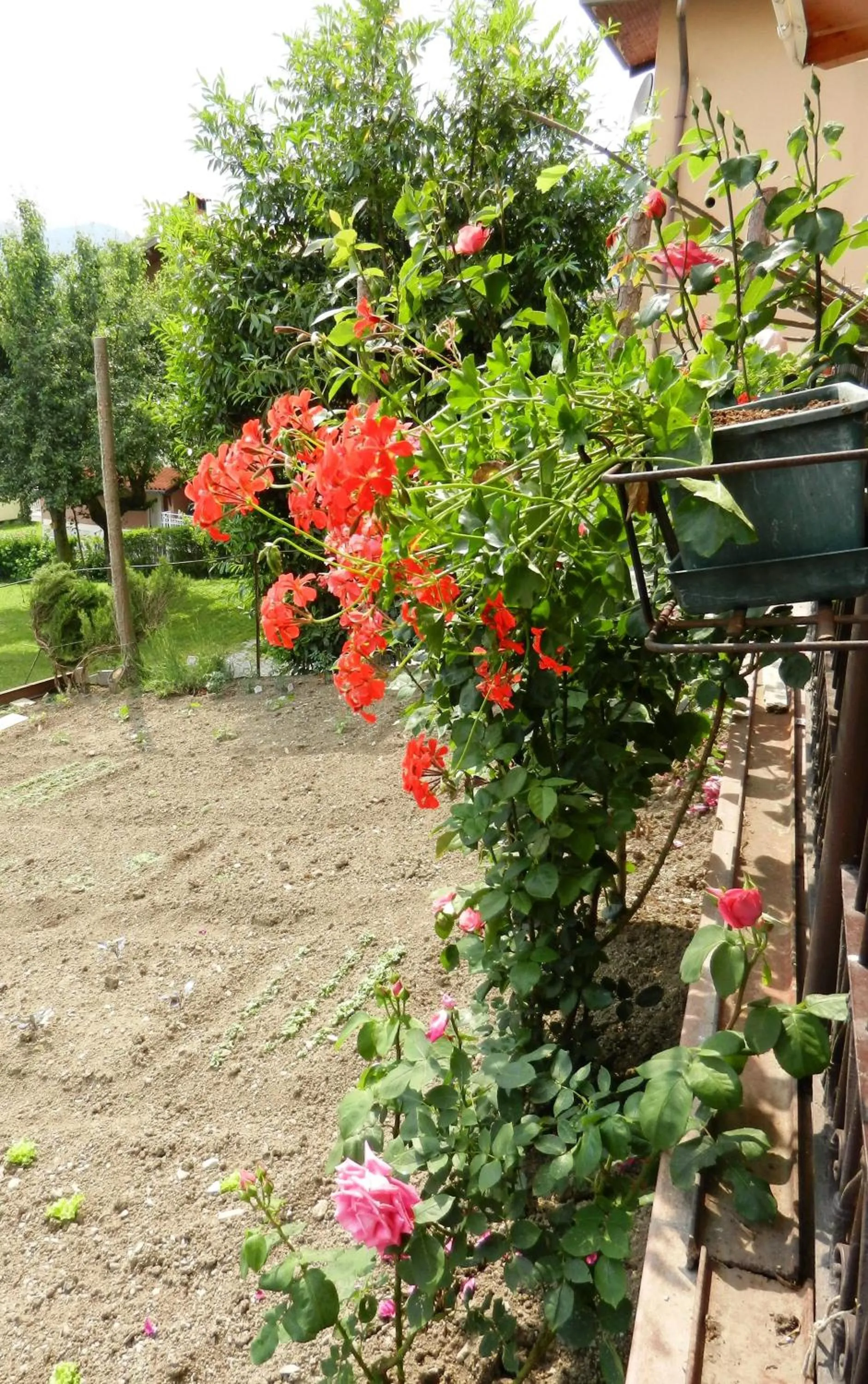 Patio in Albergo Milano