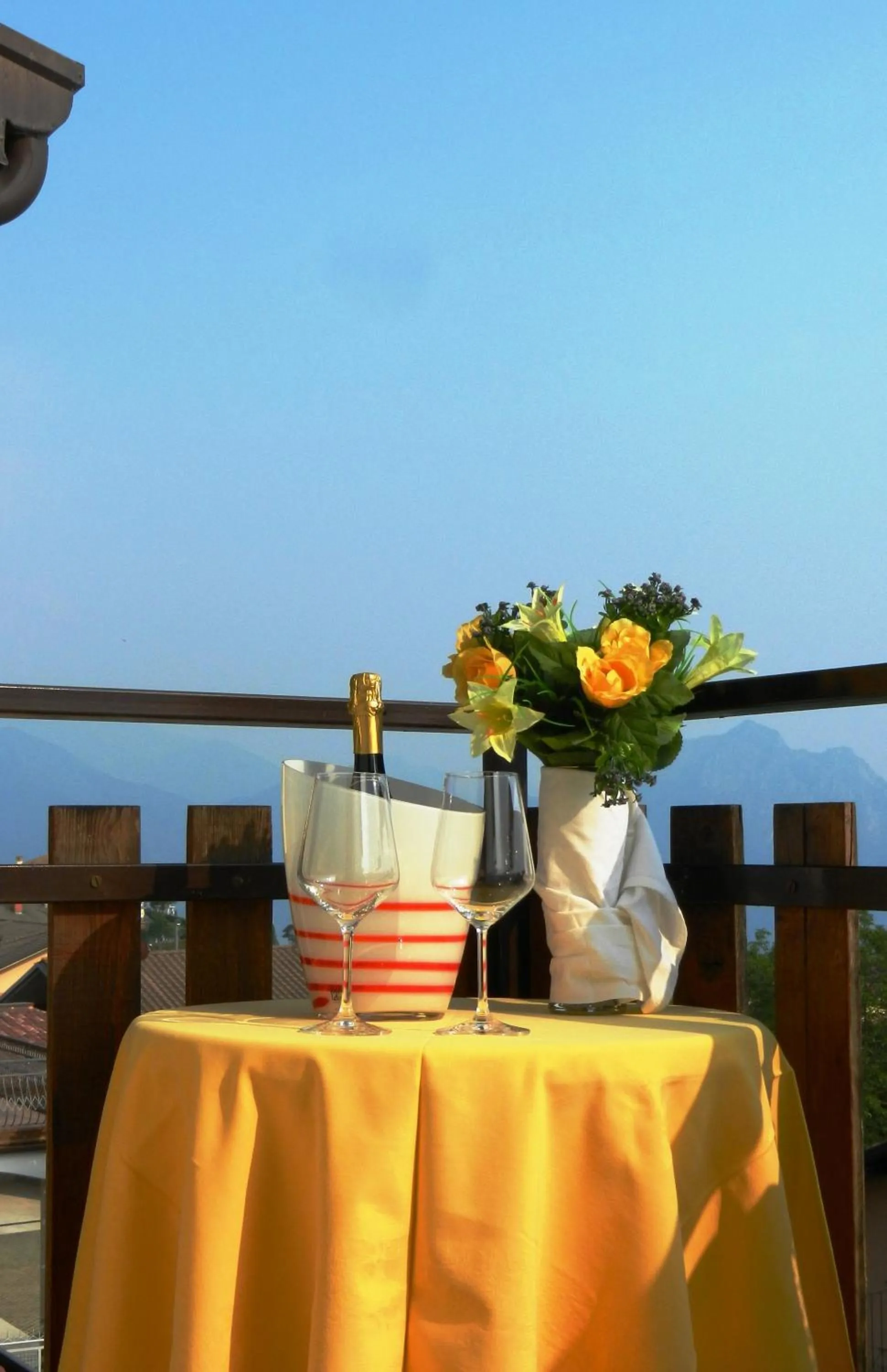 Garden in Albergo Milano