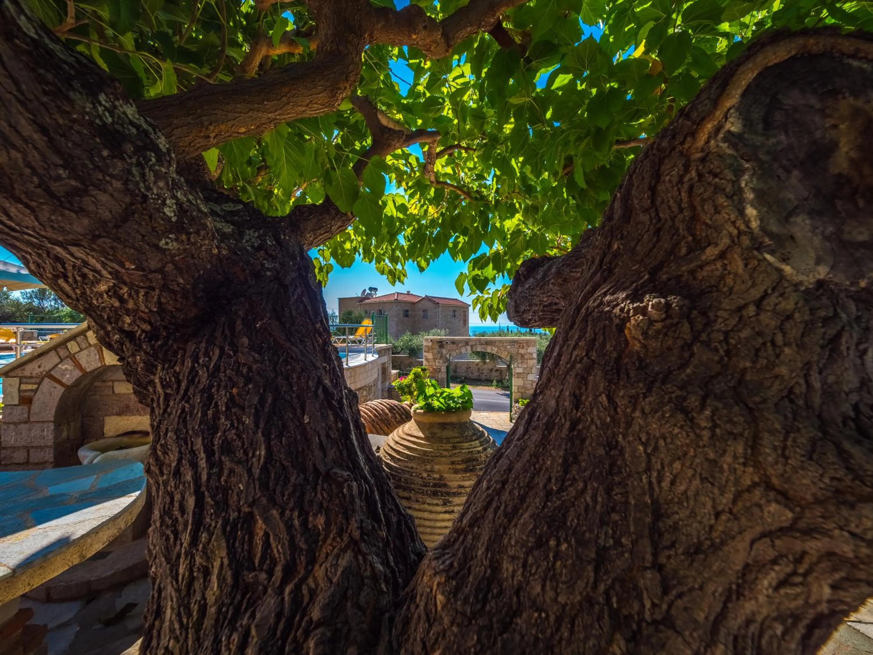 Decorative detail in Palataki