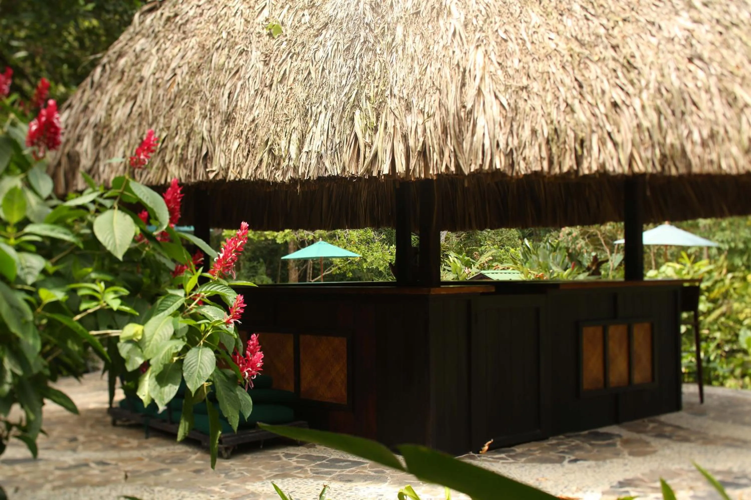 Lounge or bar in The Lodge at Pico Bonito