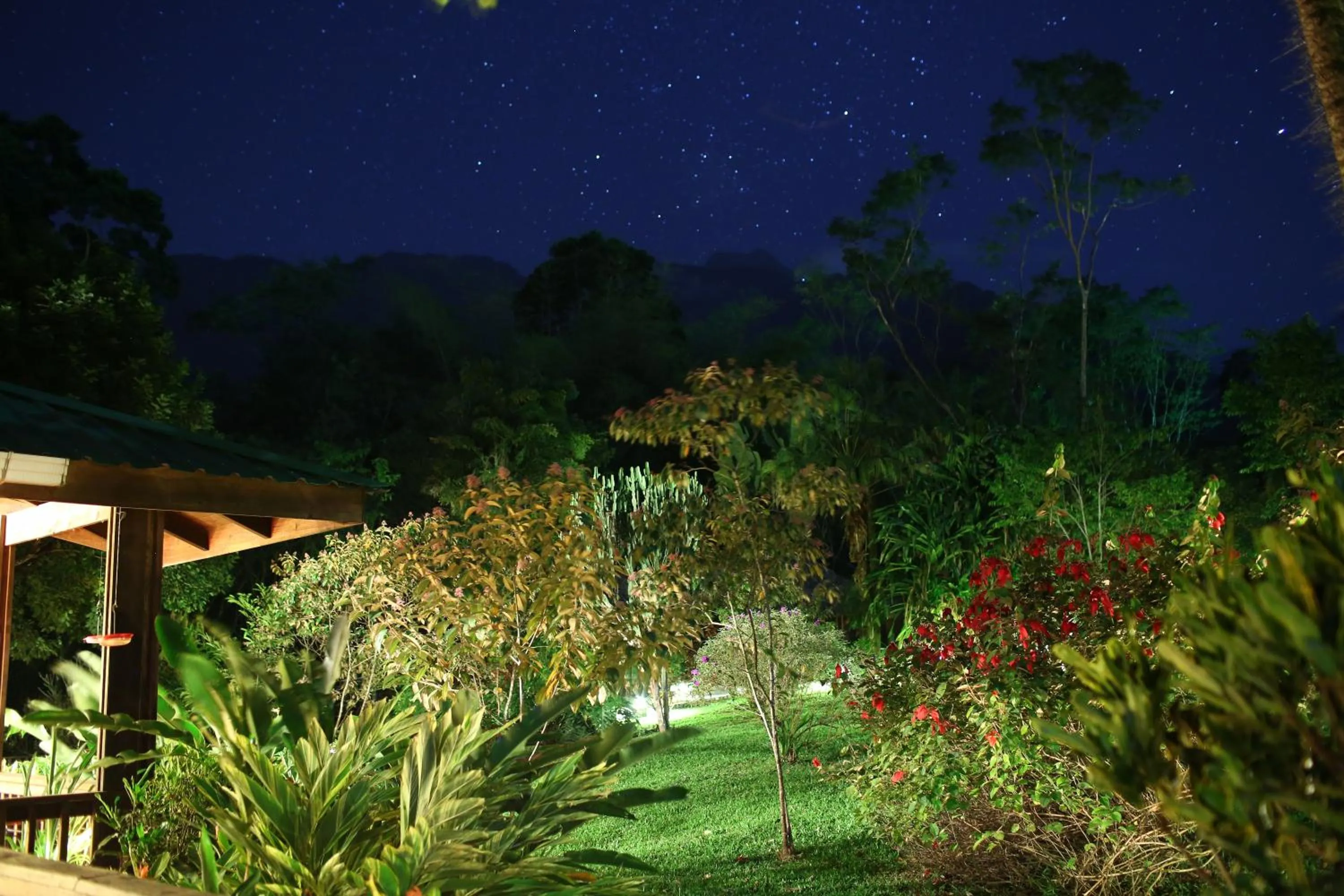 Garden in The Lodge at Pico Bonito