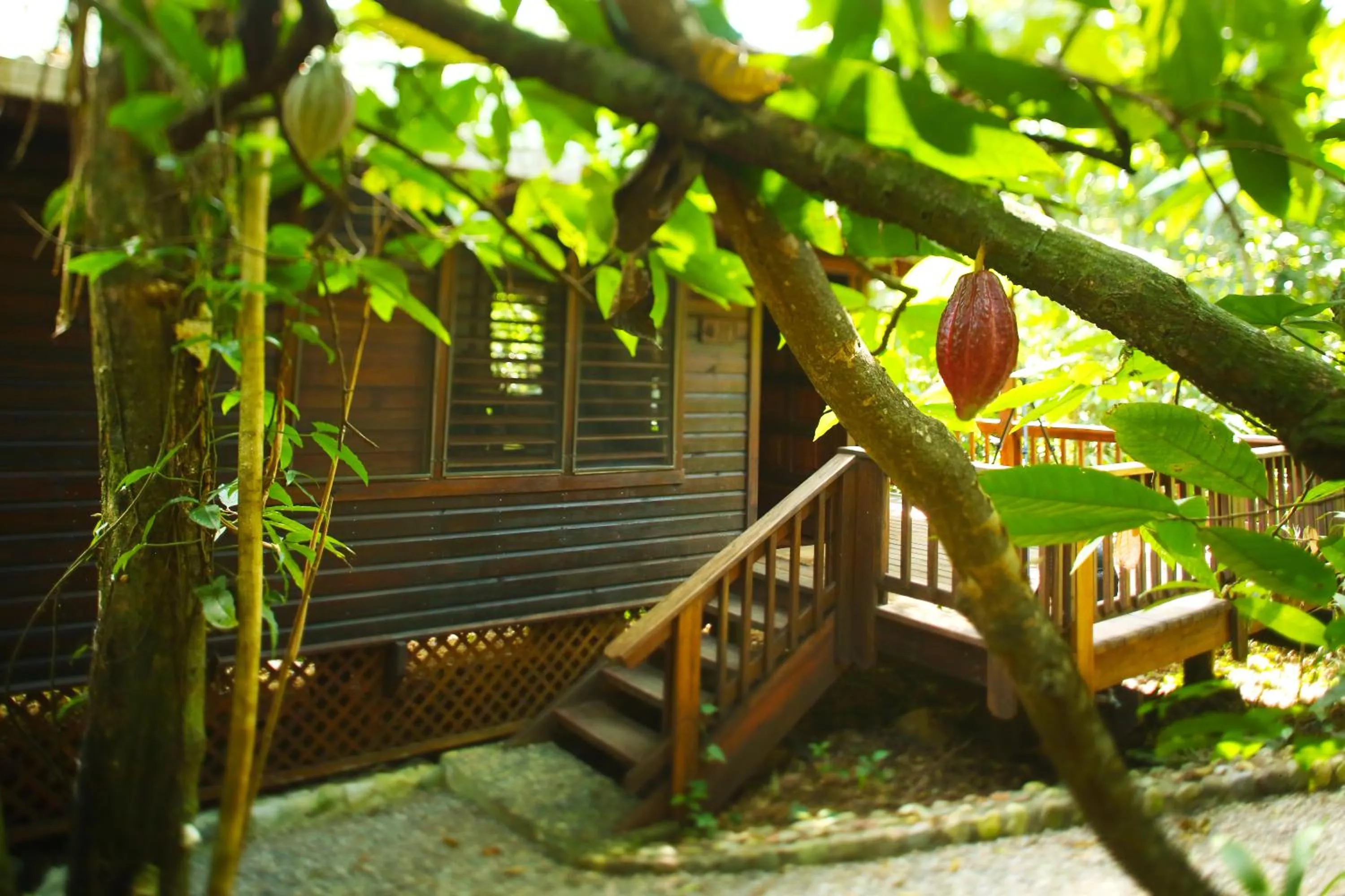 Balcony/Terrace in The Lodge at Pico Bonito
