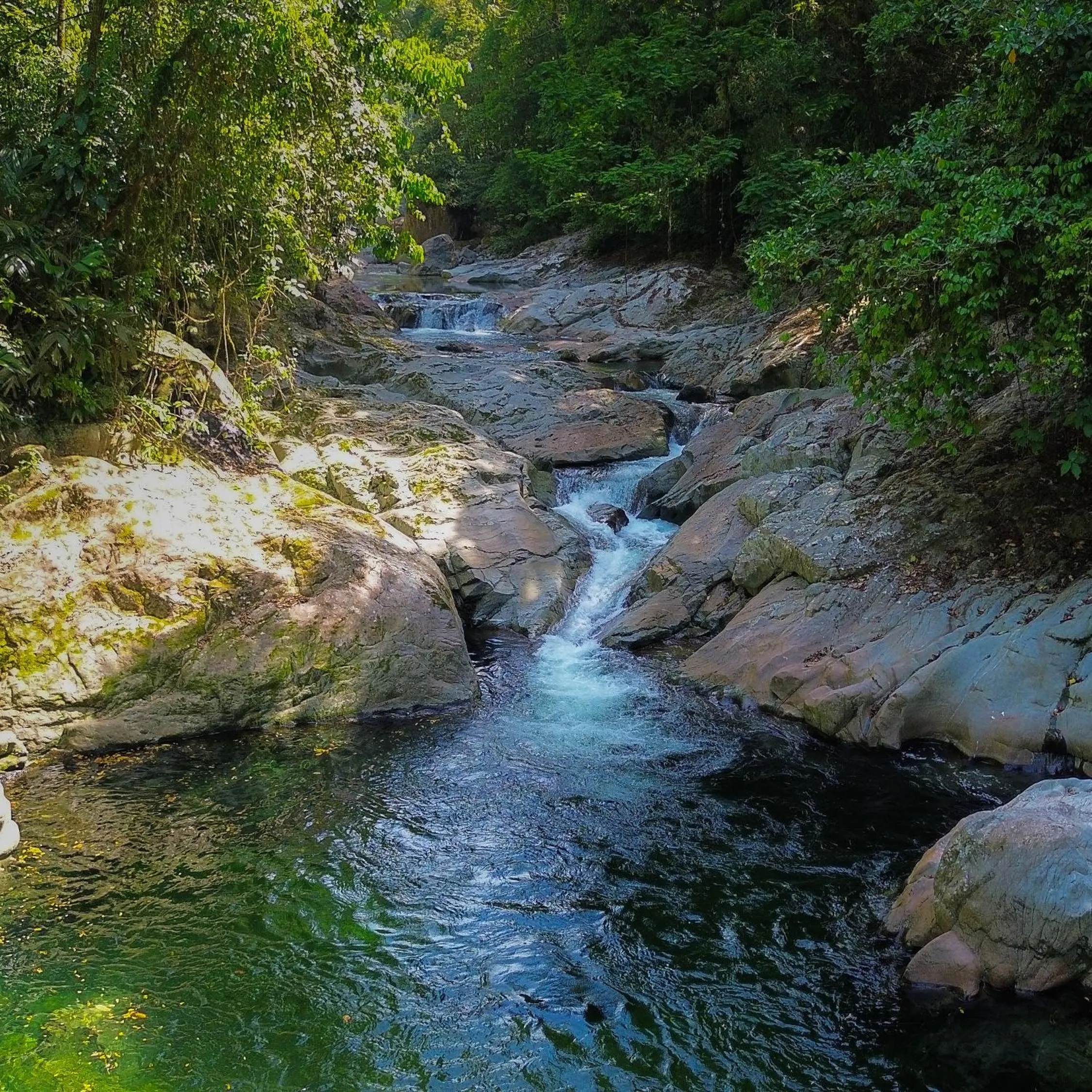Natural landscape in The Lodge at Pico Bonito