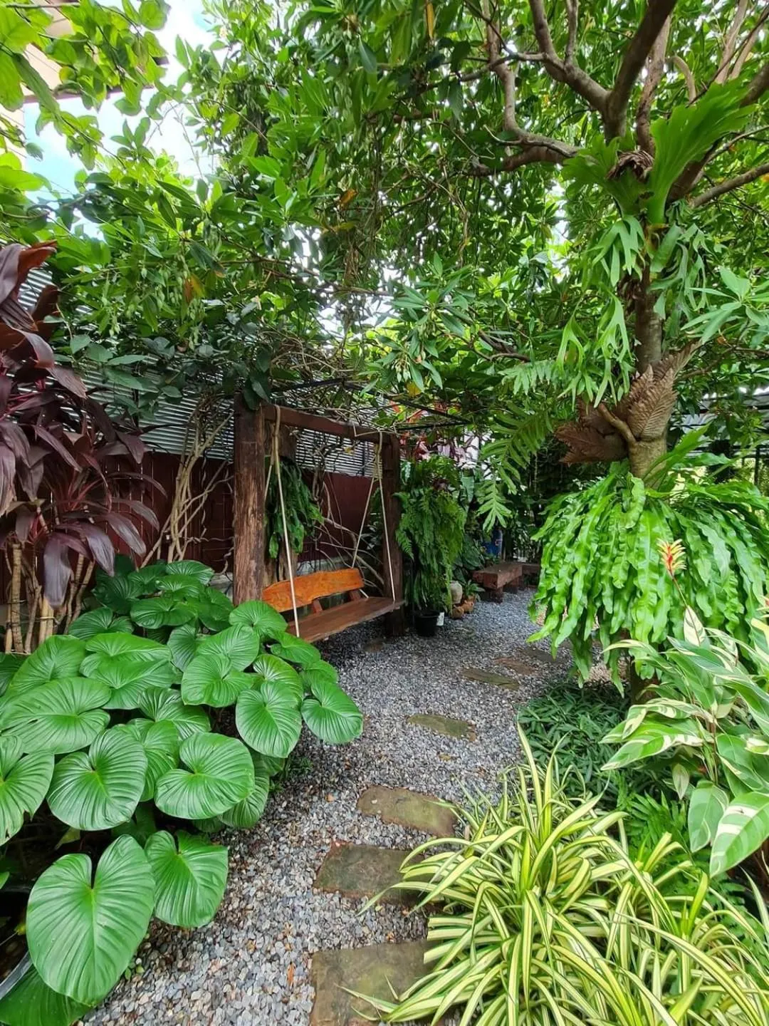 Baan Canalee (บ้านคานาลี)