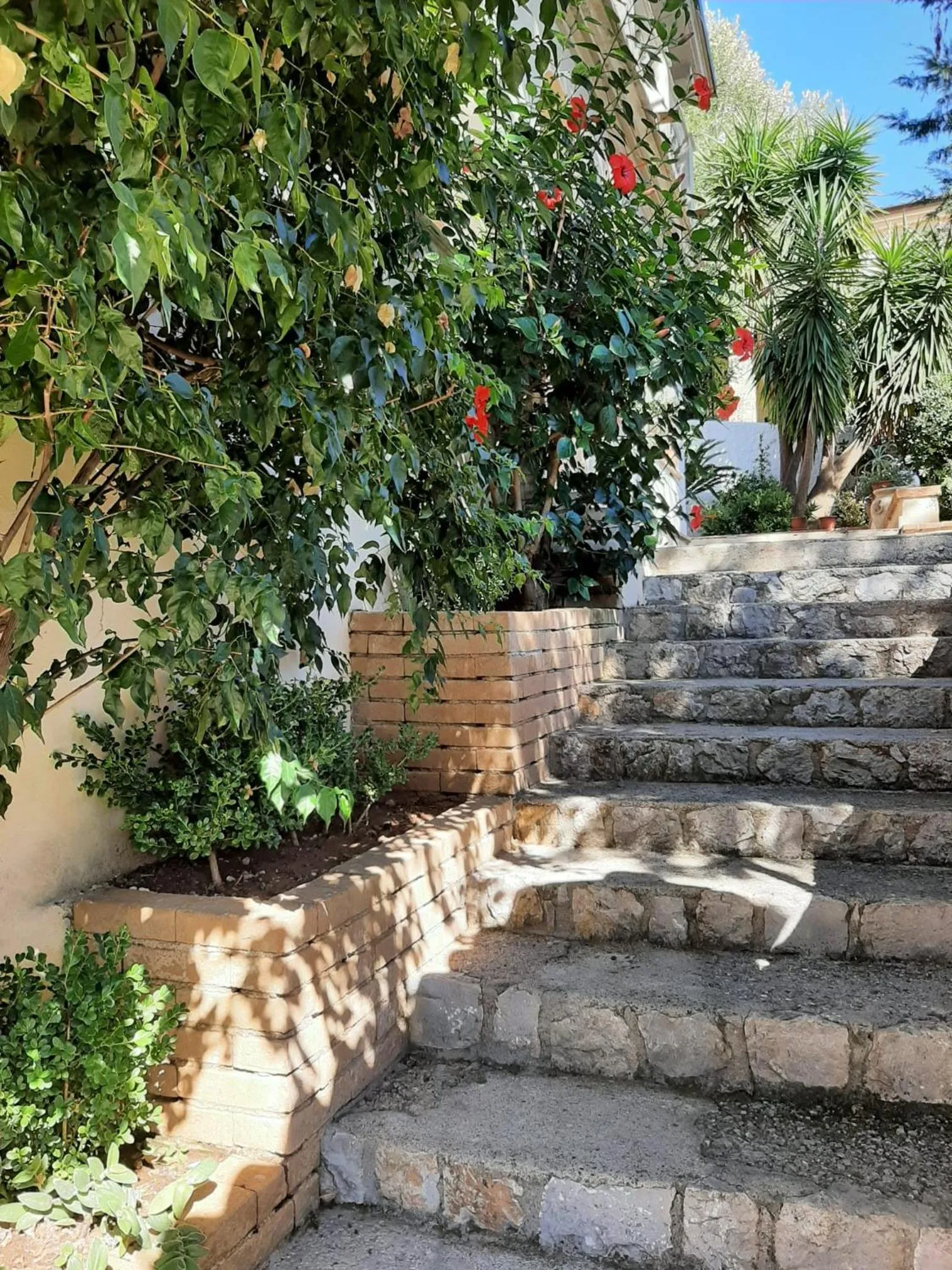 Property building in Residence Martina