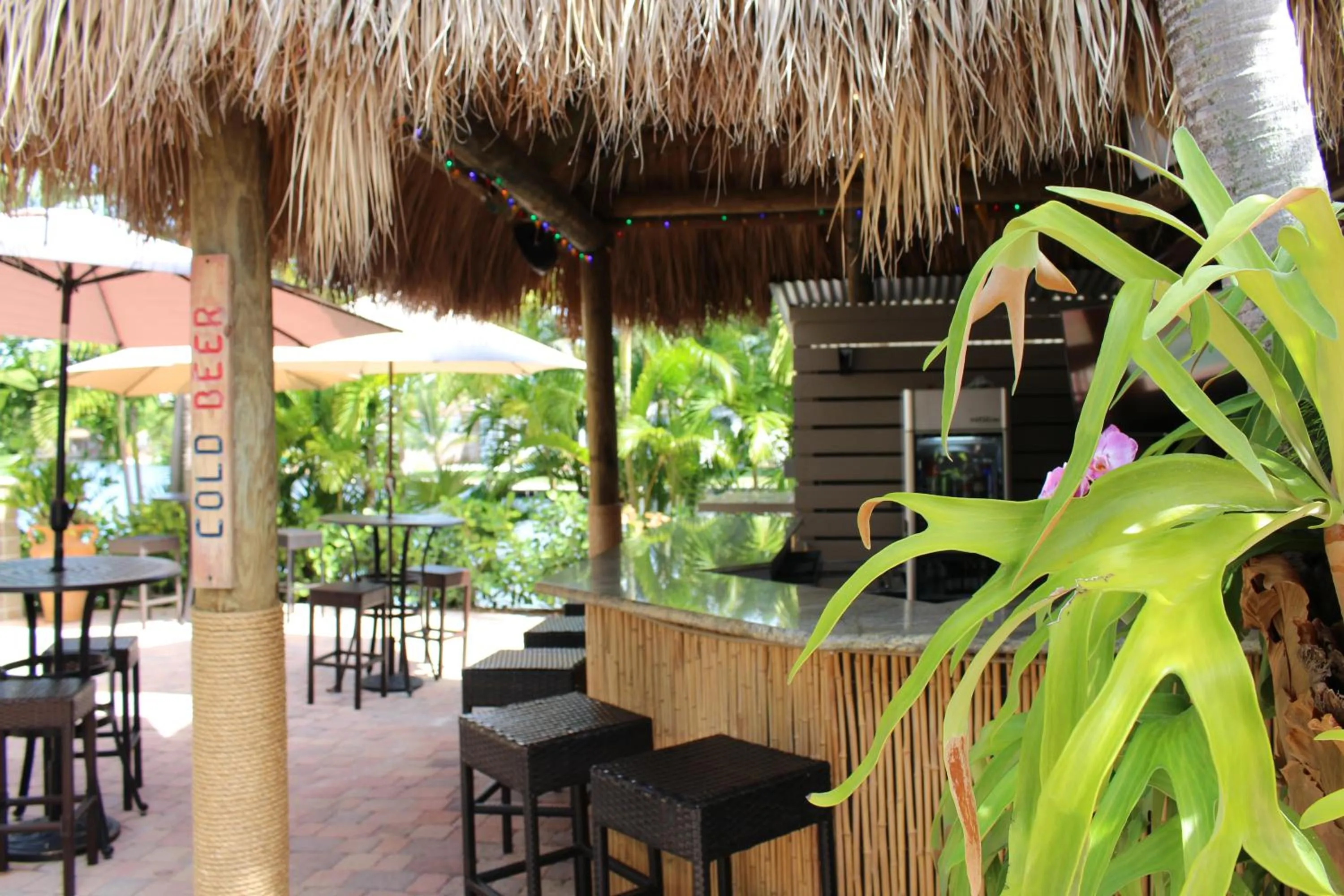 Drinks in The Cabanas Guesthouse & Spa - Gay Resort catering to Gay Men