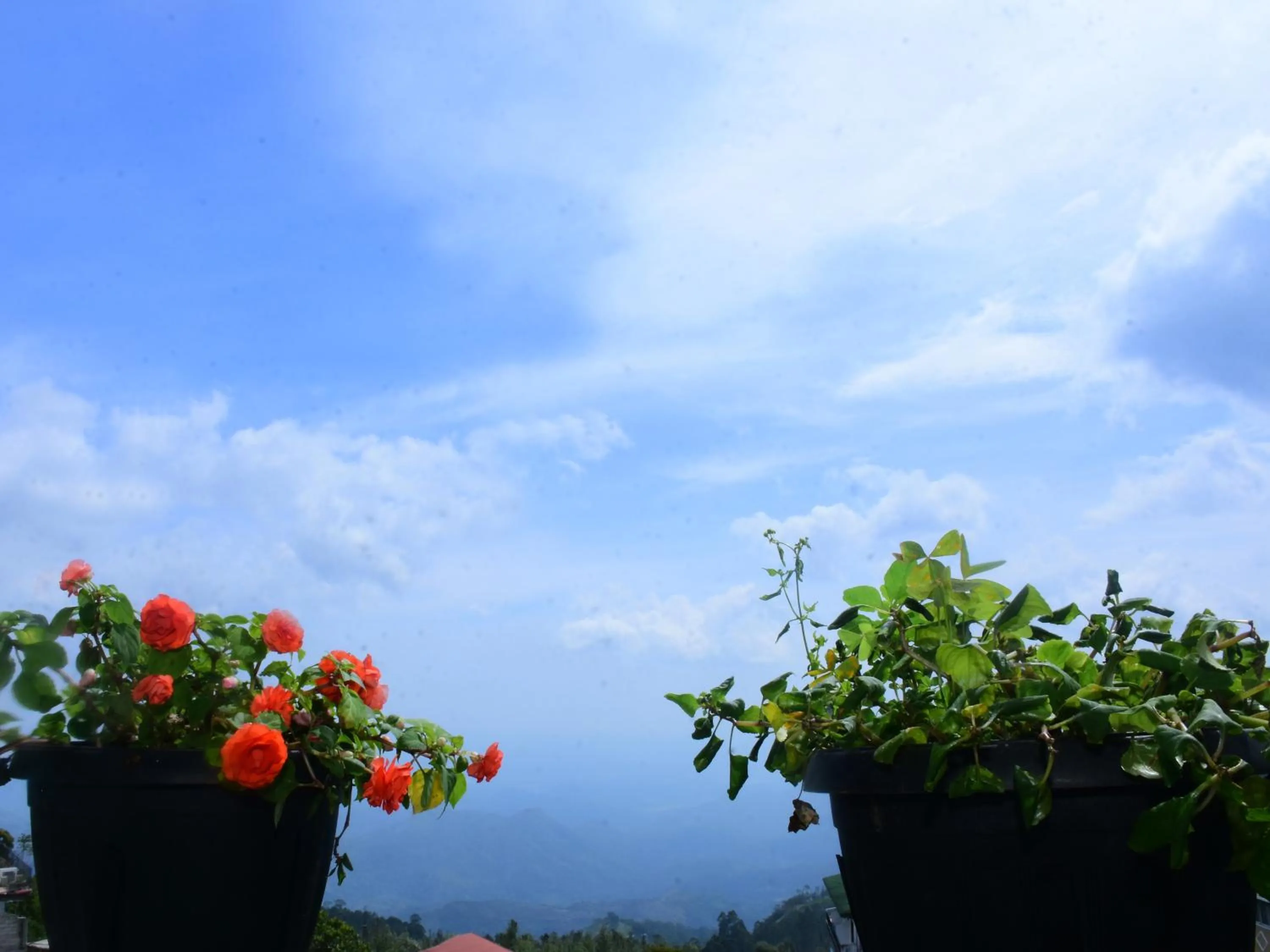 View (from property/room) in Grand View Guest House