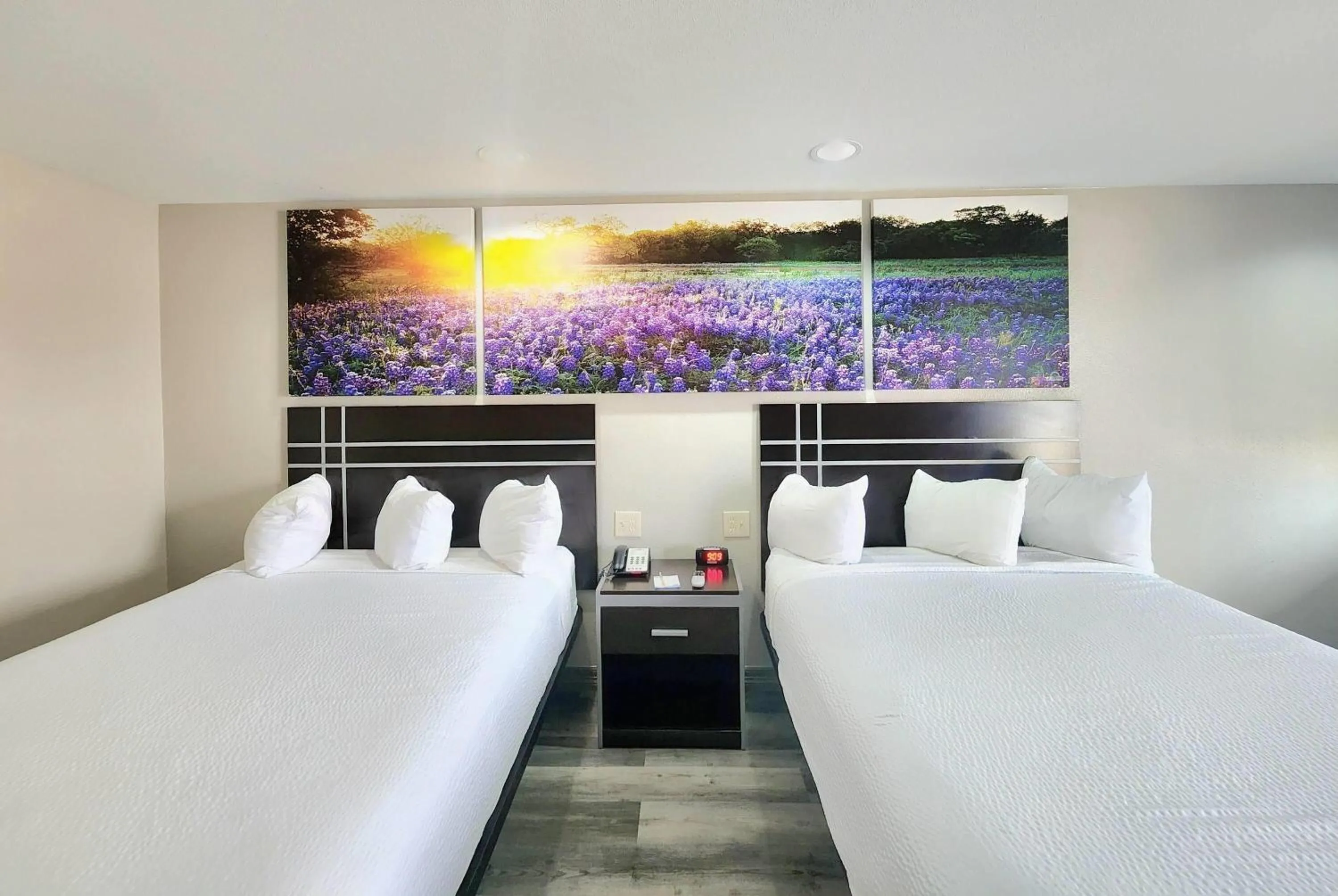 Photo of the whole room, Bed in Days Inn by Wyndham Baytown TX