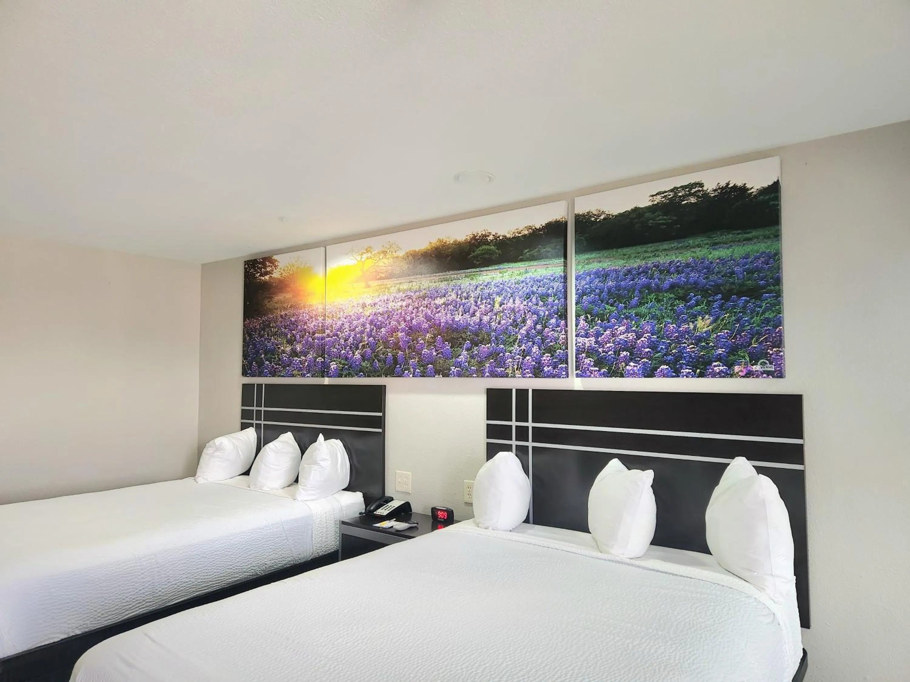 Bedroom, Bed in Days Inn by Wyndham Baytown TX