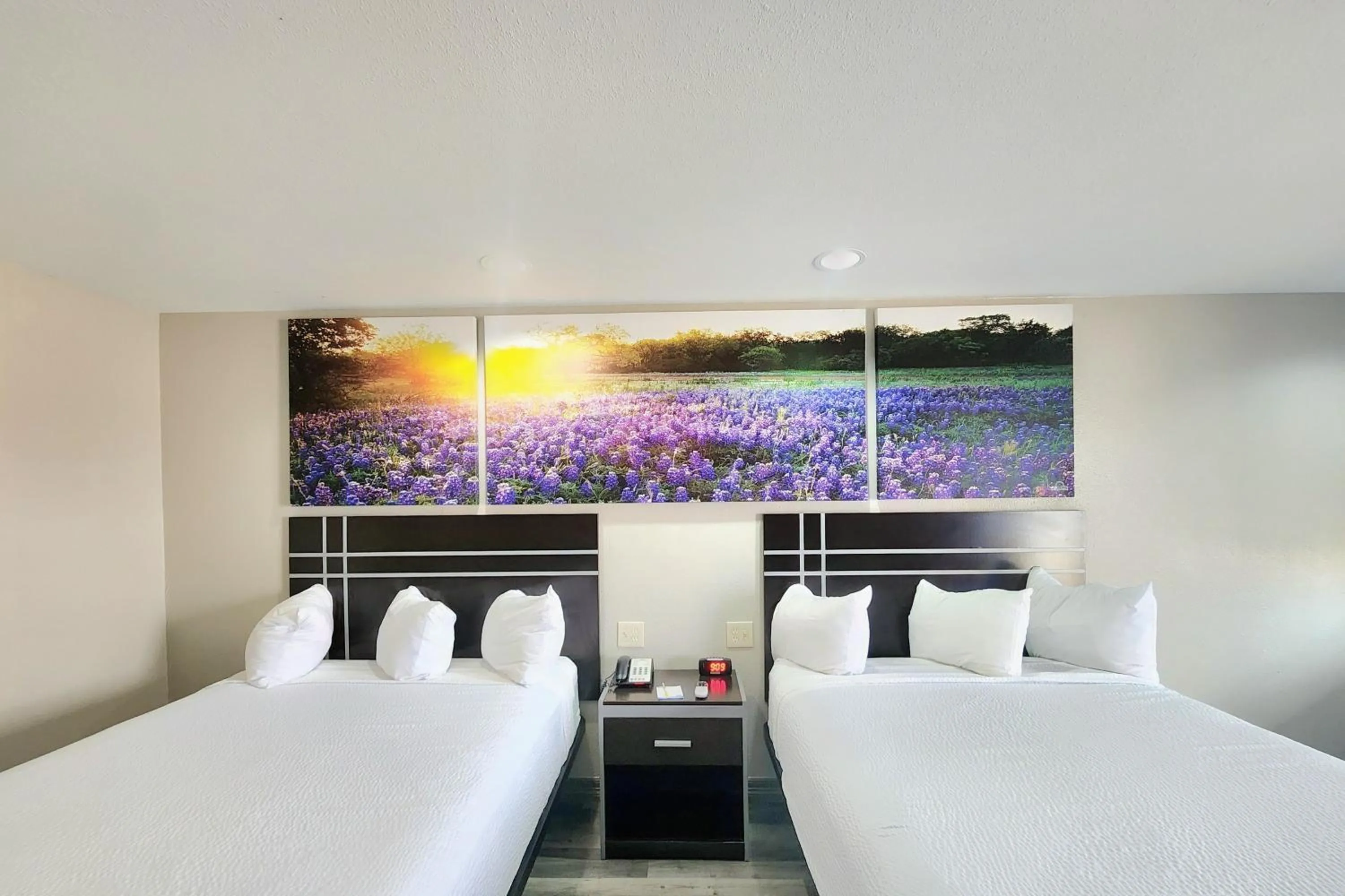 Bedroom, Bed in Days Inn by Wyndham Baytown TX