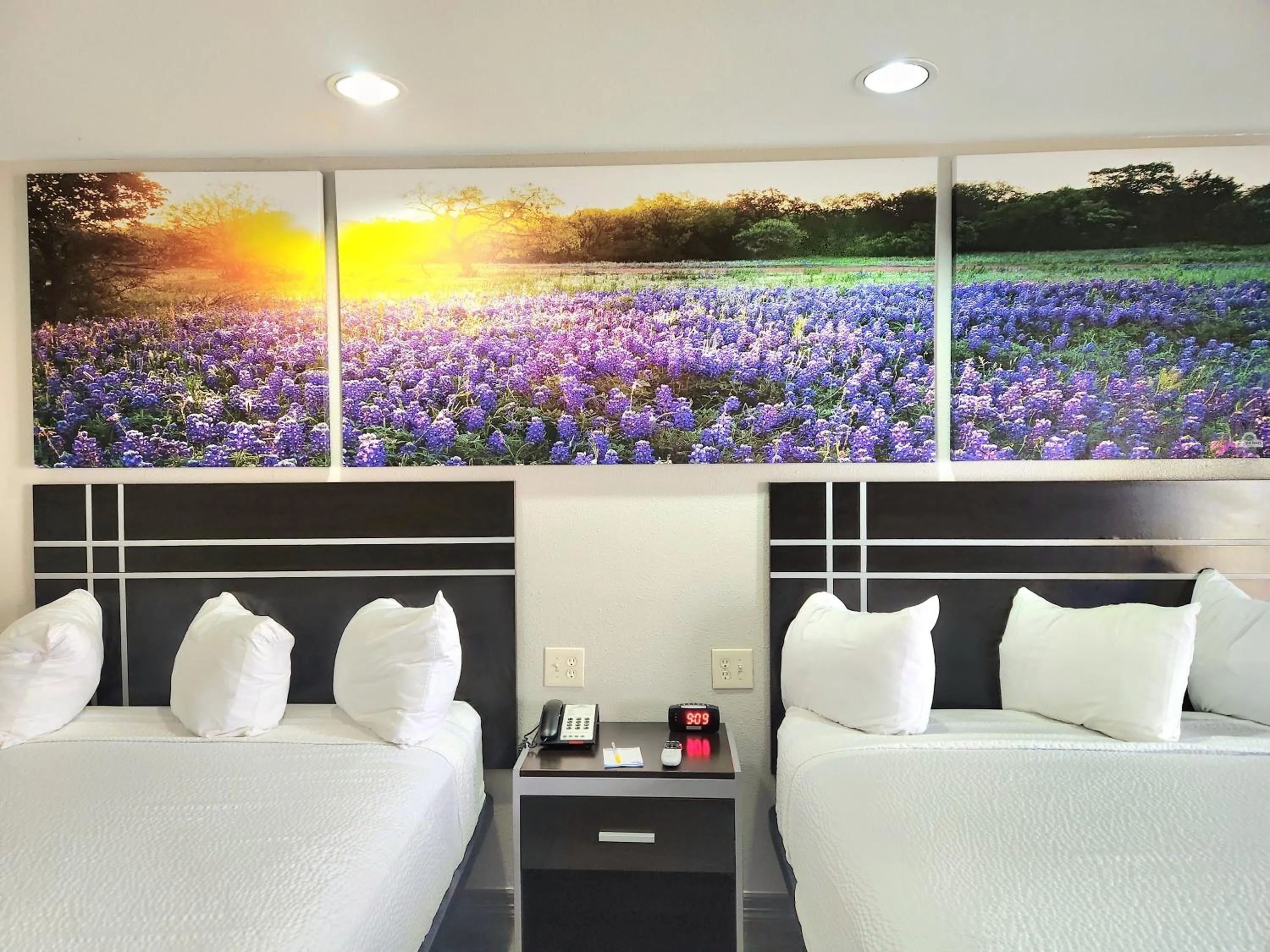 Bedroom, Bed in Days Inn by Wyndham Baytown TX