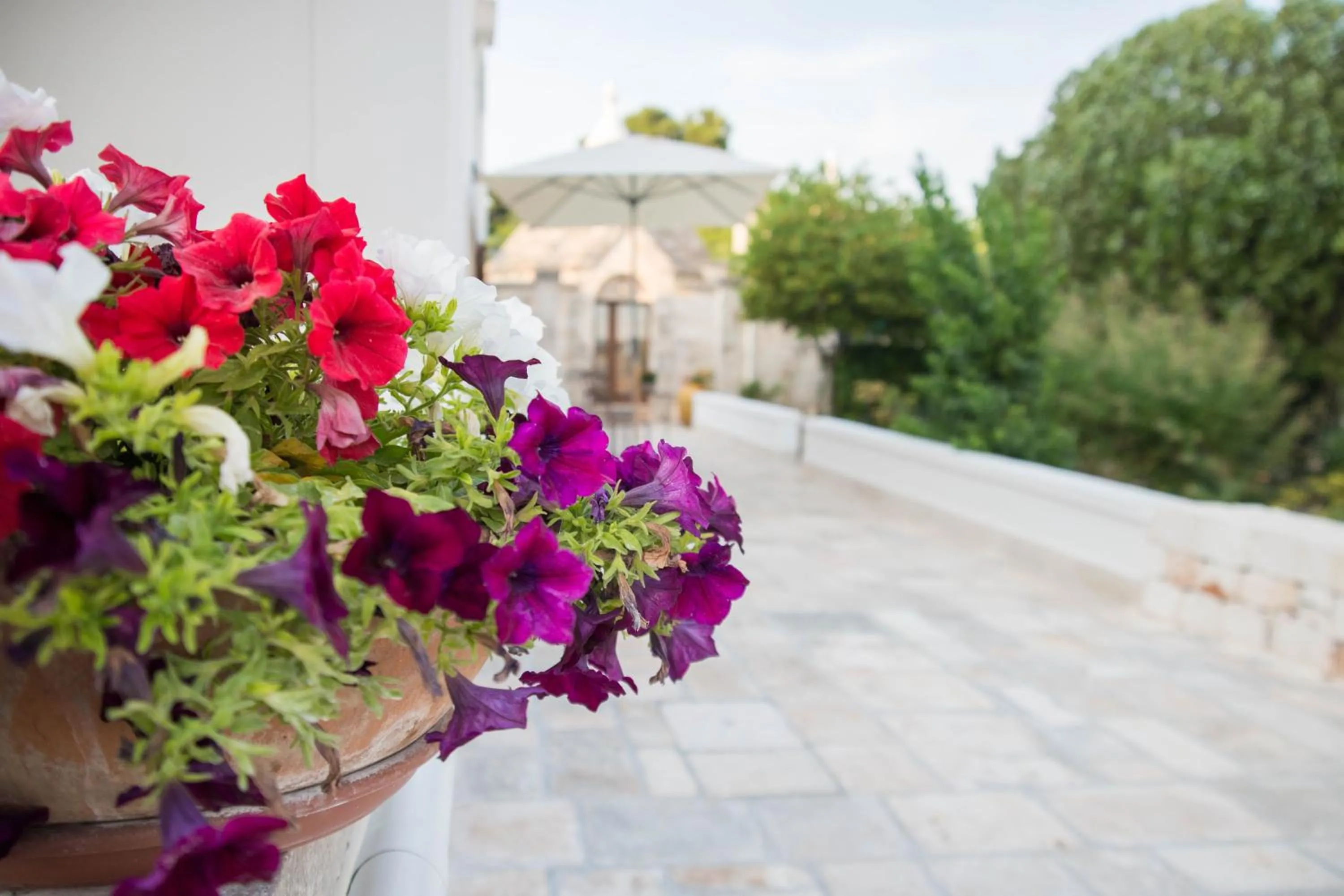 Property building in Giardino Segreto