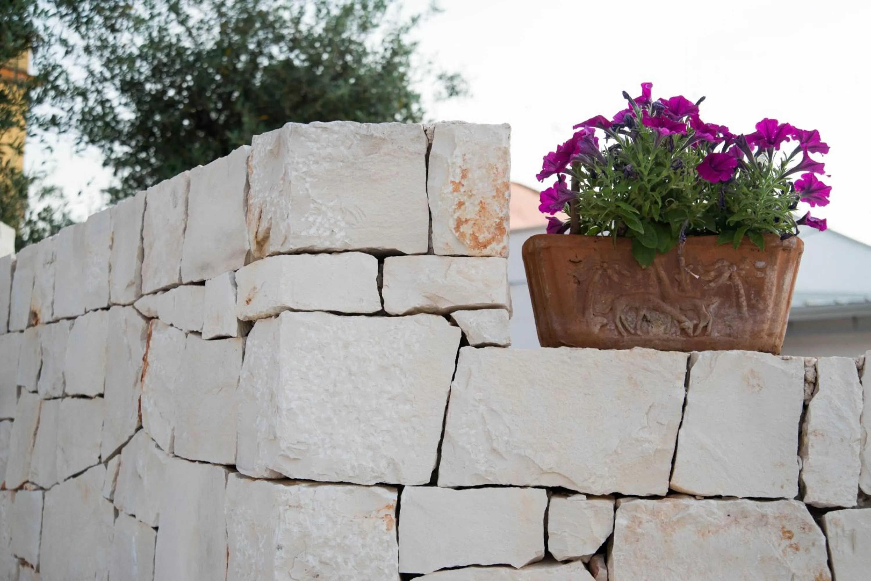 Property building in Giardino Segreto