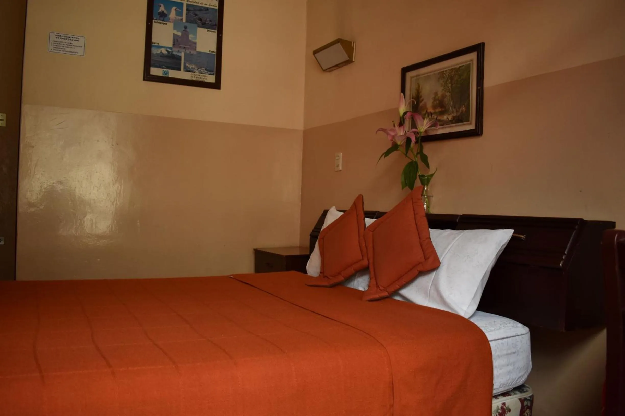 Photo of the whole room, Bed in Hotel Huasi Continental