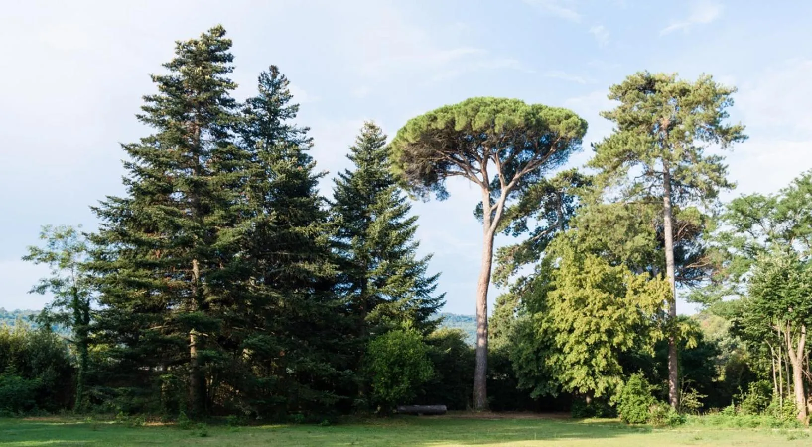 Natural landscape in Château de Montcaud