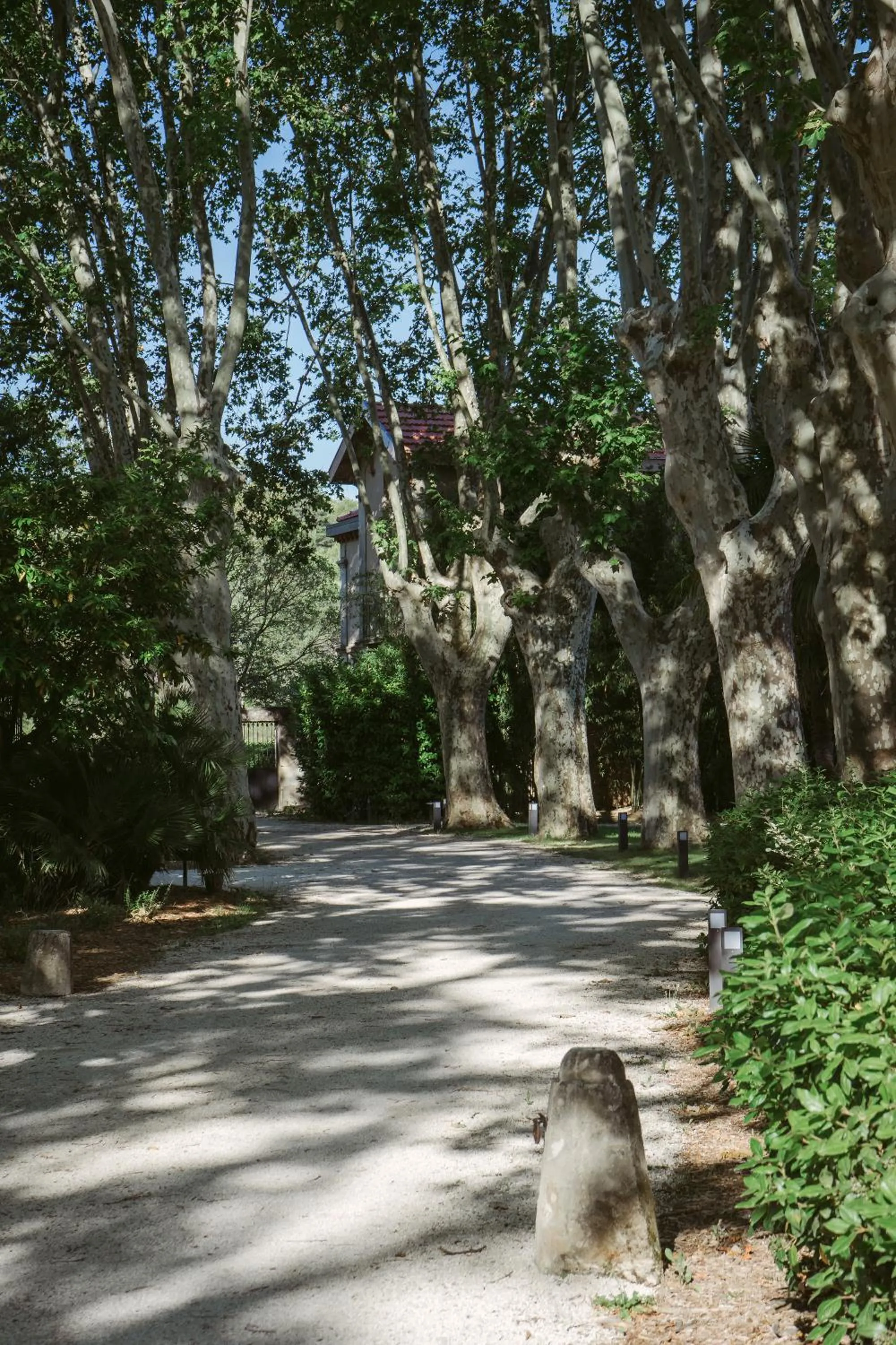 Natural landscape in Château de Montcaud