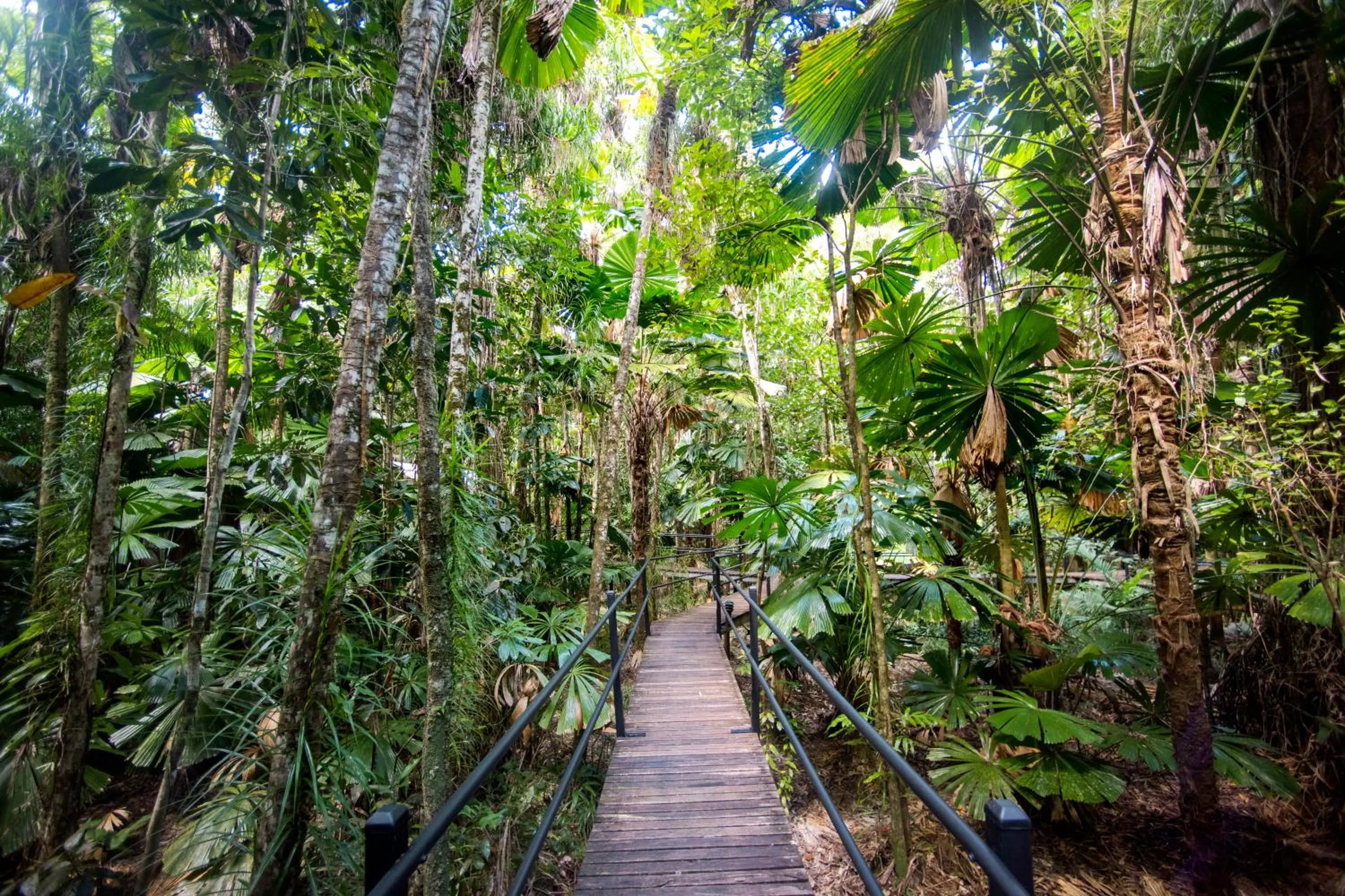 Natural landscape in Daintree Wilderness Lodge