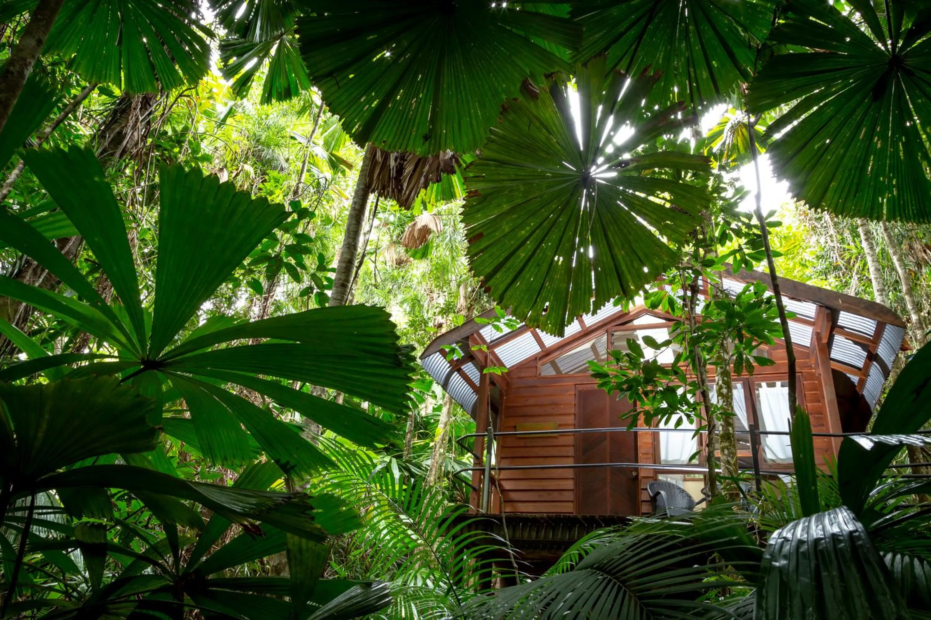 Property building in Daintree Wilderness Lodge